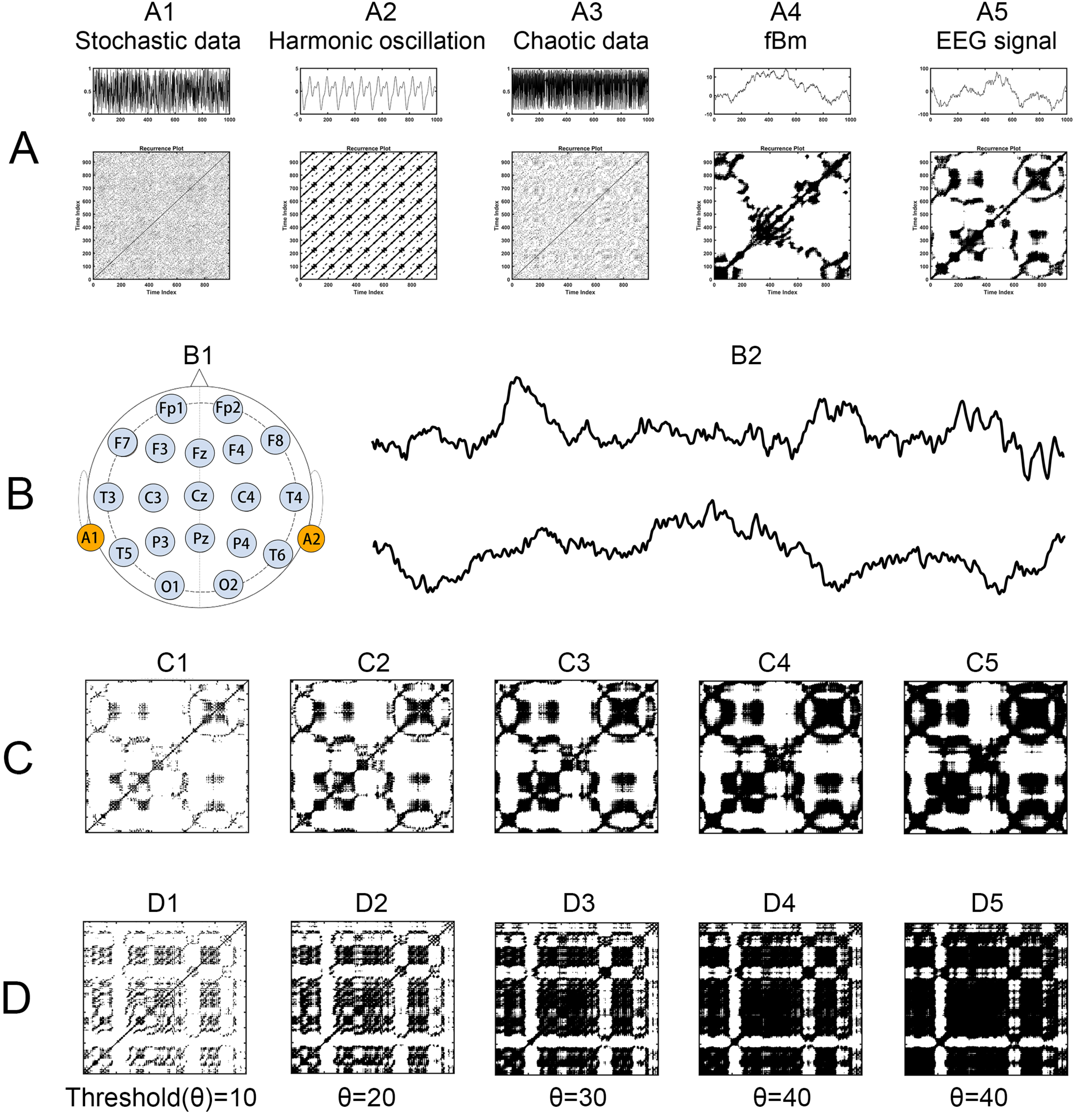 Brainsci 14 00565 g001