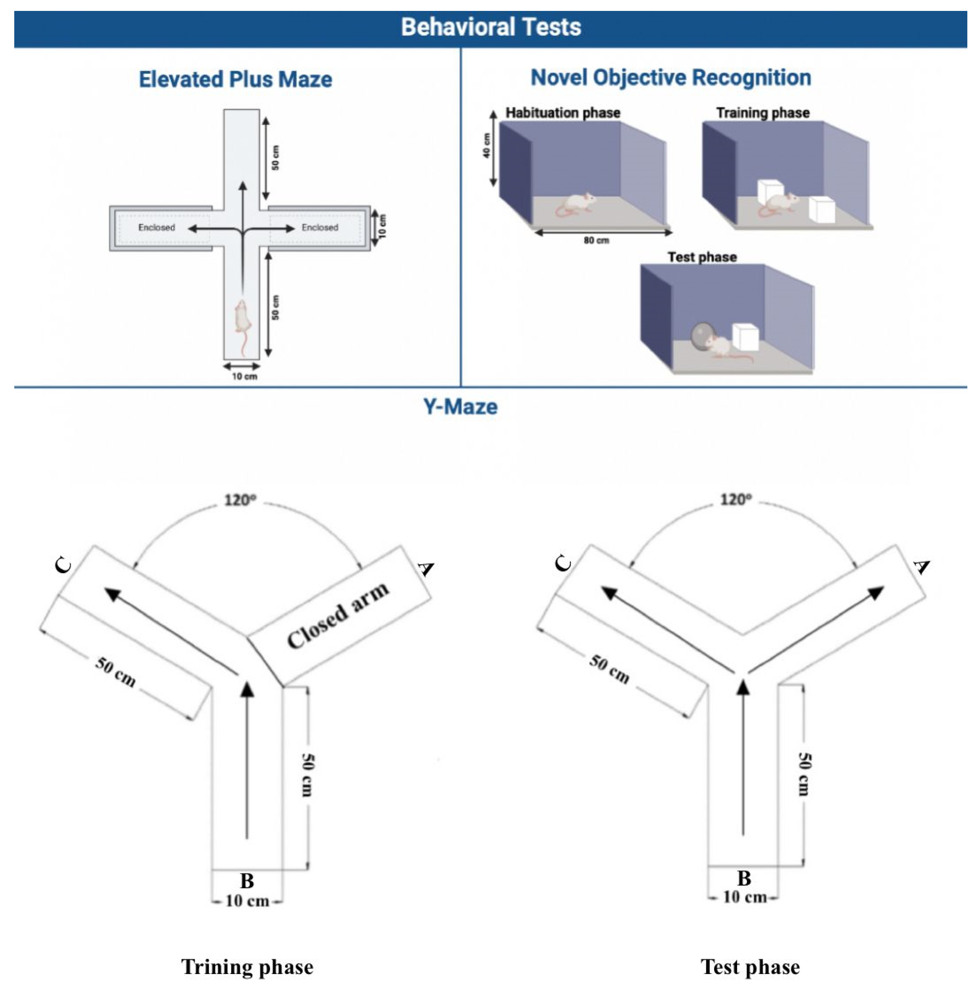 Brainsci 14 00574 g004 Brainsci 14 00574 g004