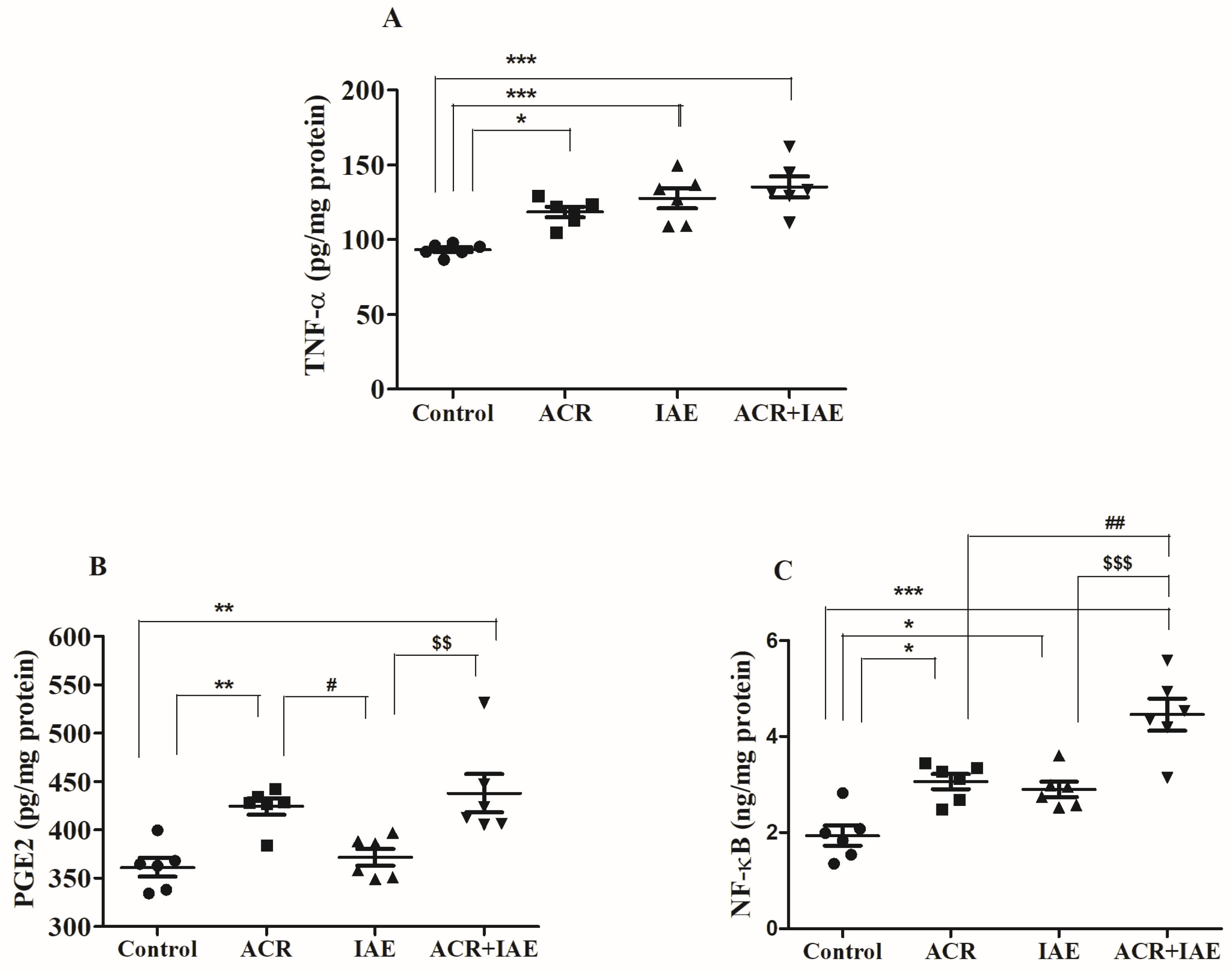 Brainsci 14 00574 g008 Brainsci 14 00574 g008