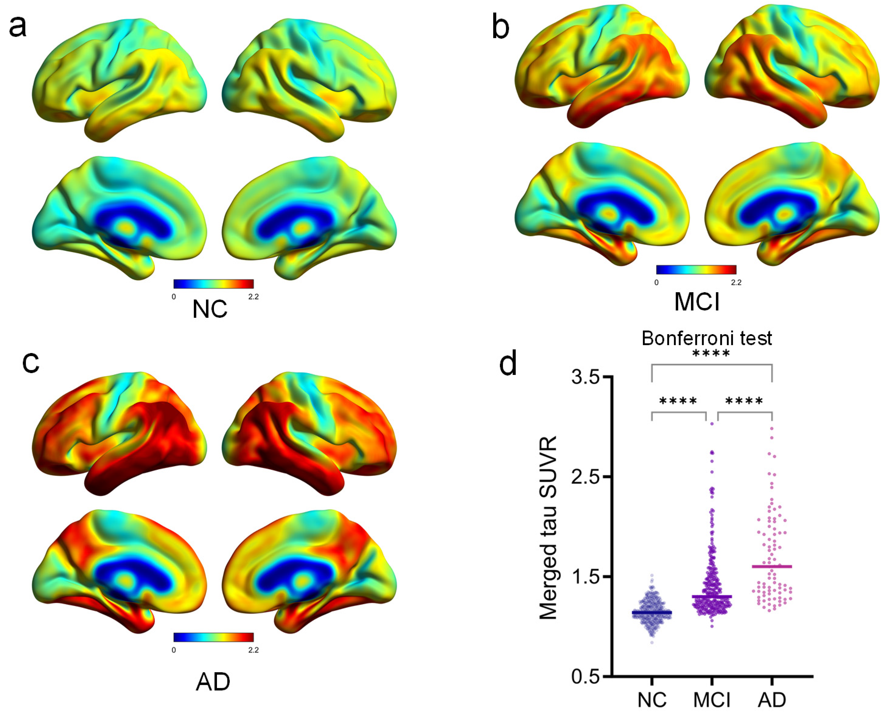 Brainsci 14 00575 g001