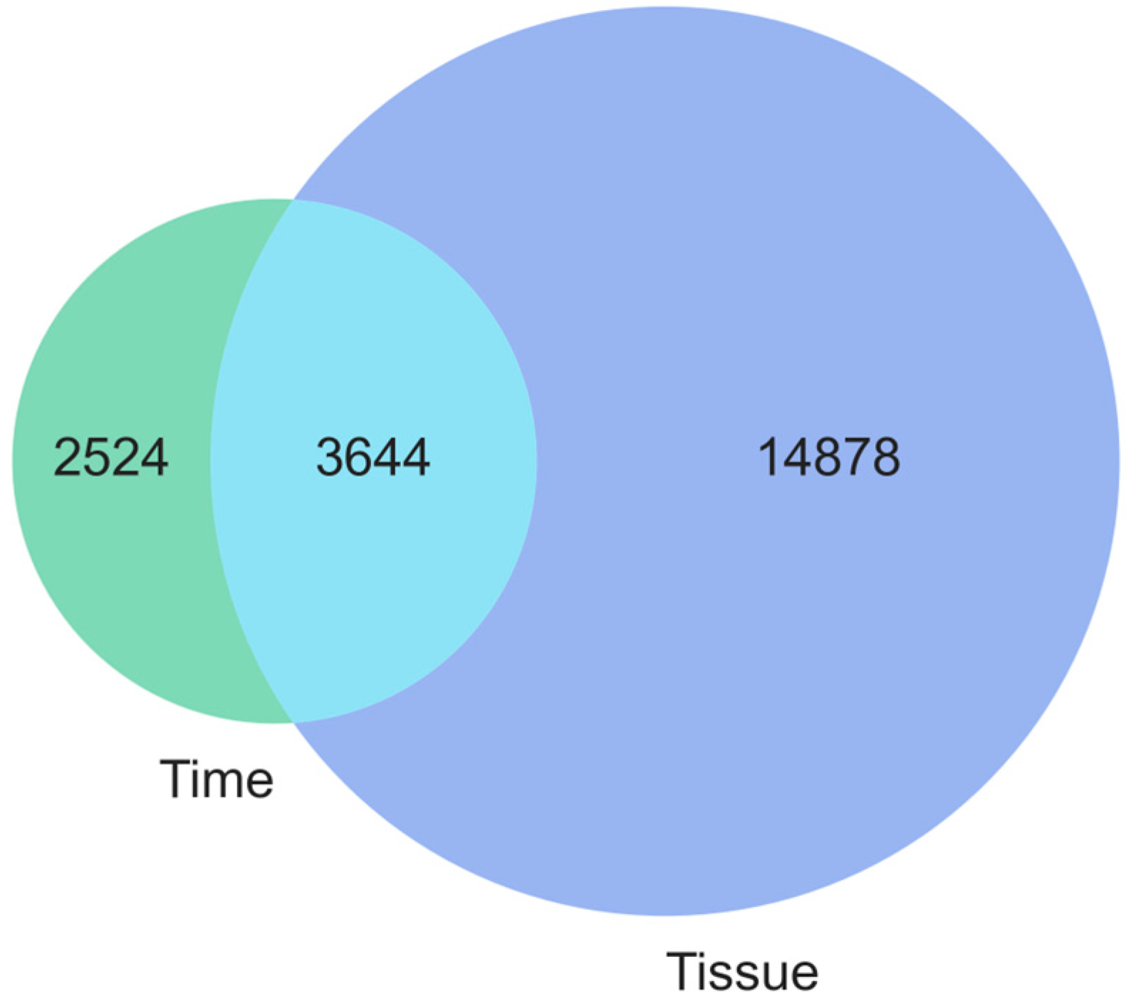 Brainsci 14 00581 g002