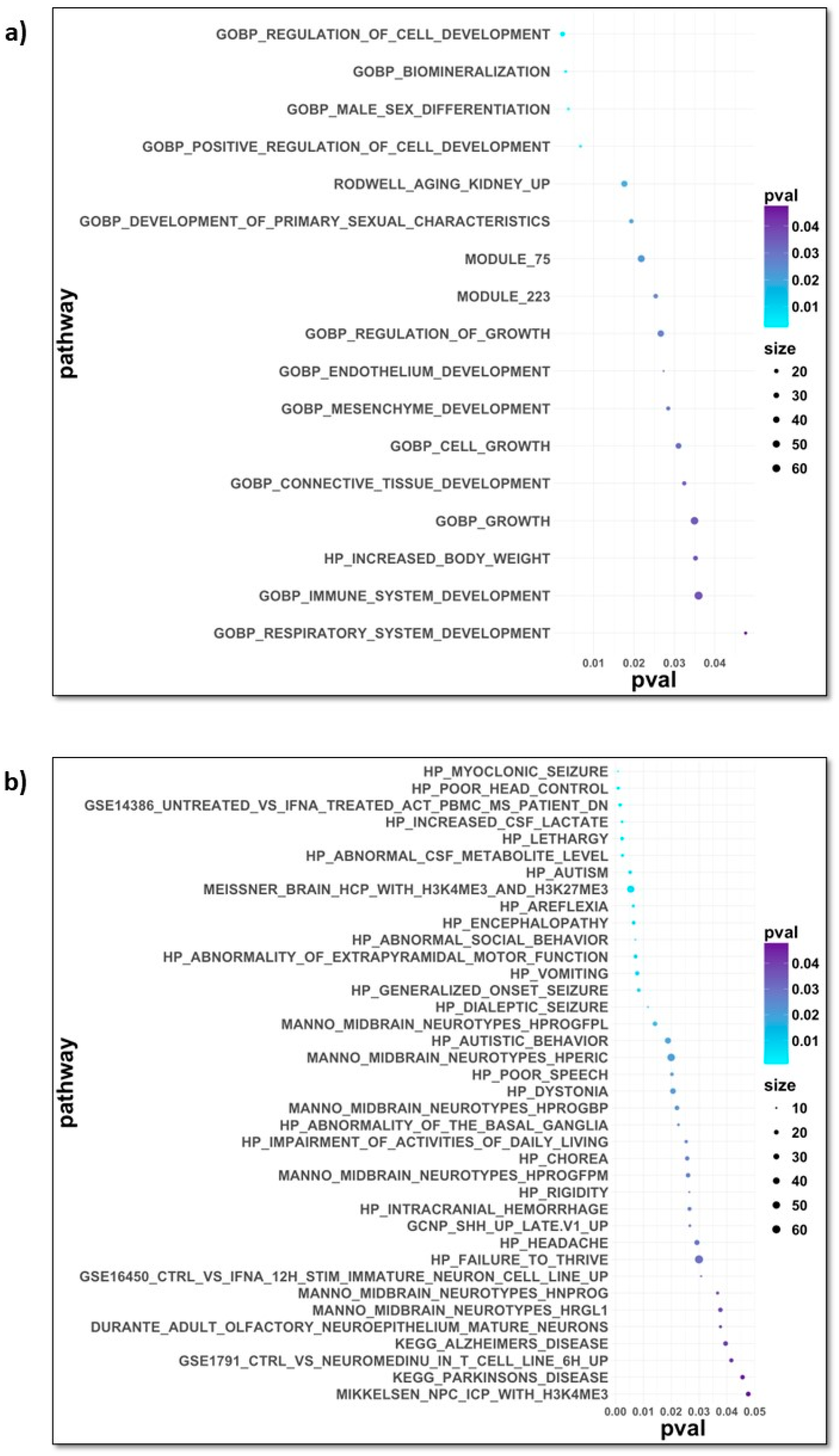 Brainsci 14 00581 g004