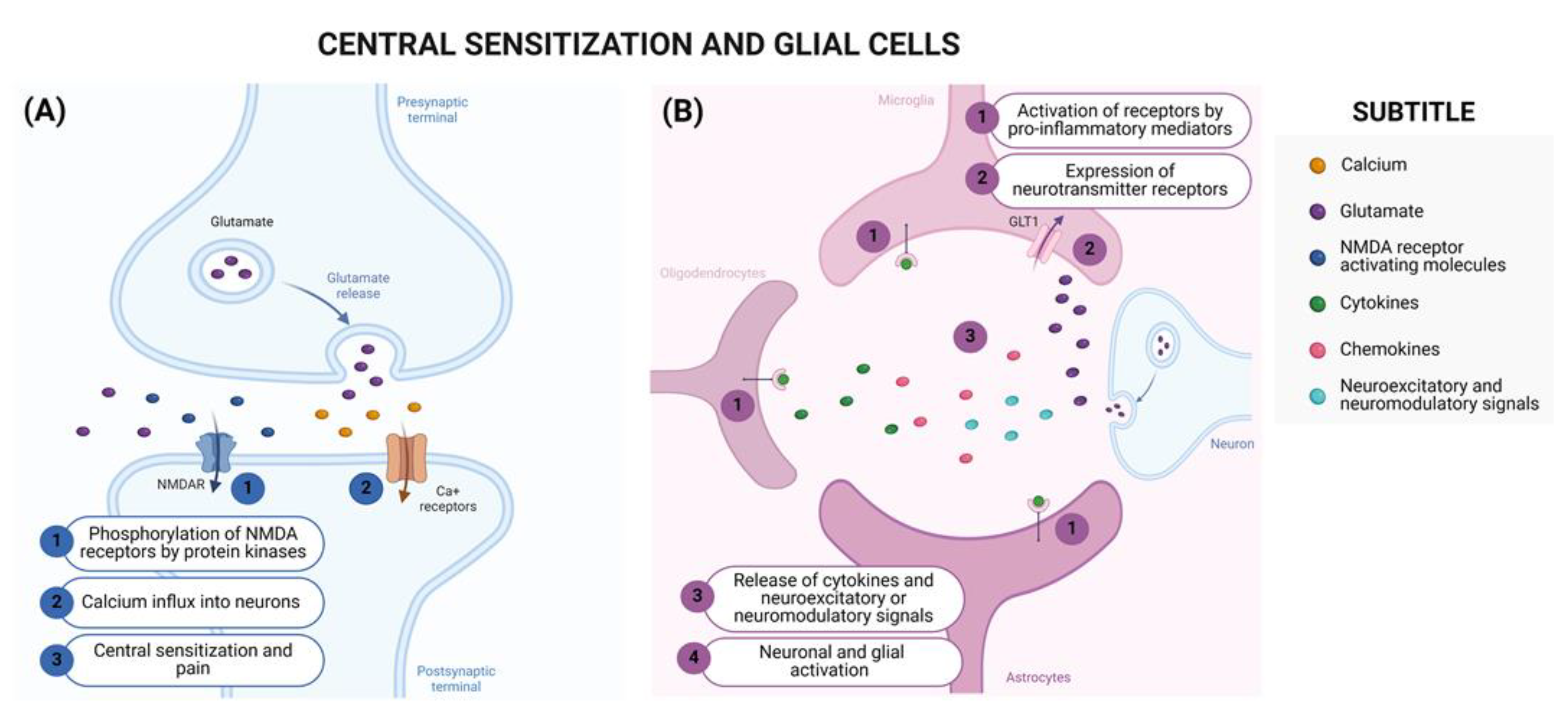 Brainsci 14 00589 g003