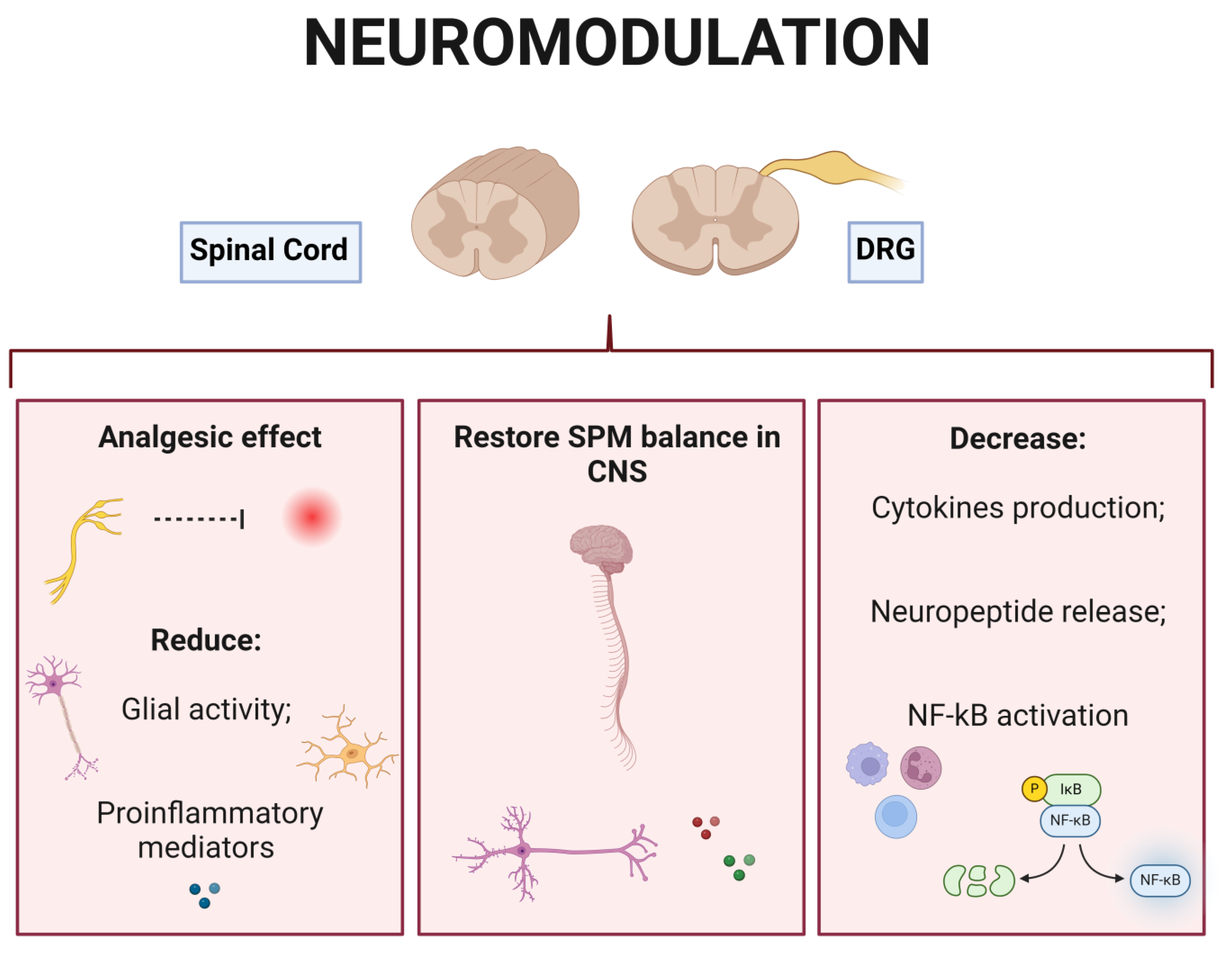 Brainsci 14 00589 g005