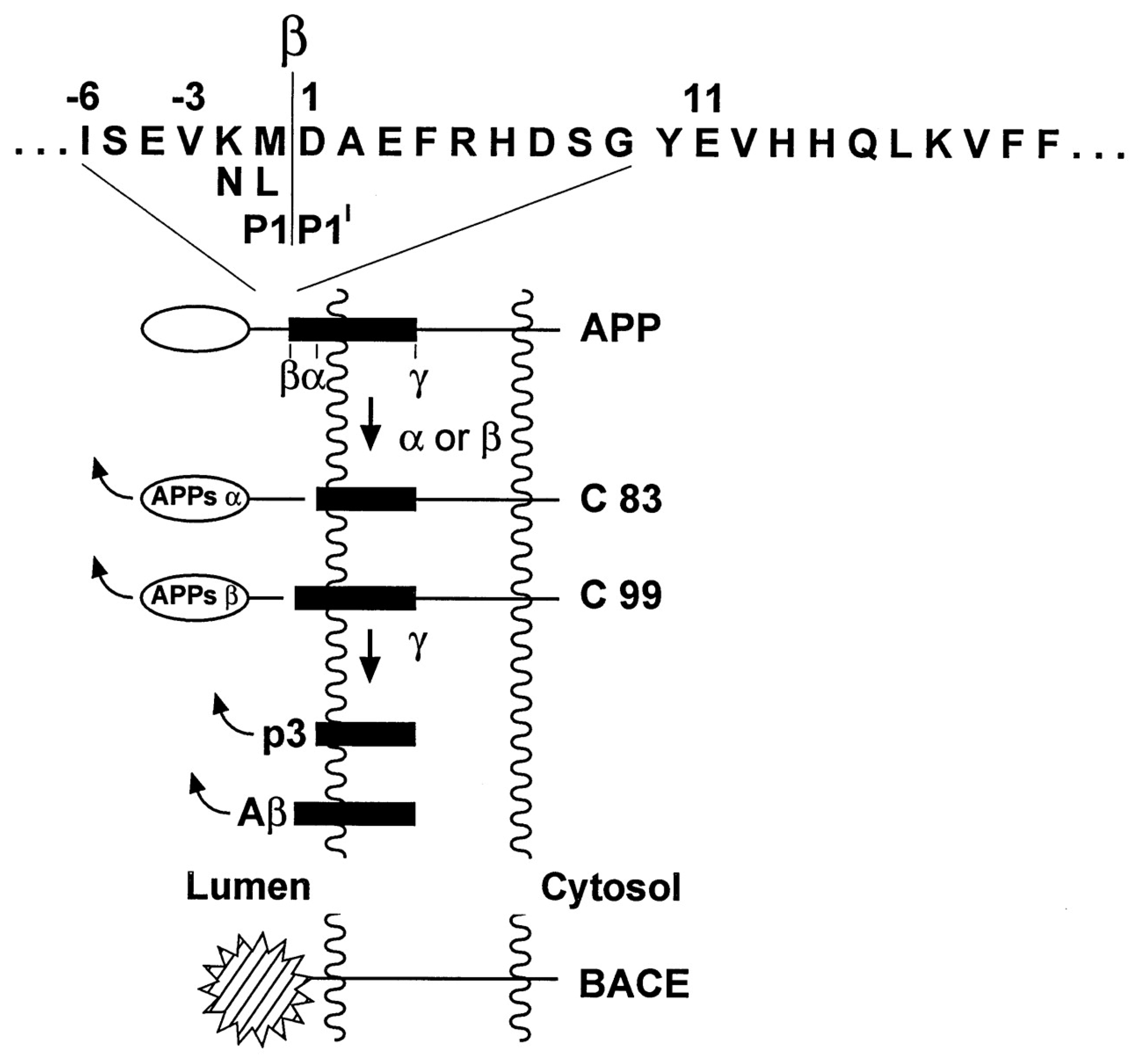 Brainsci 14 00590 g002