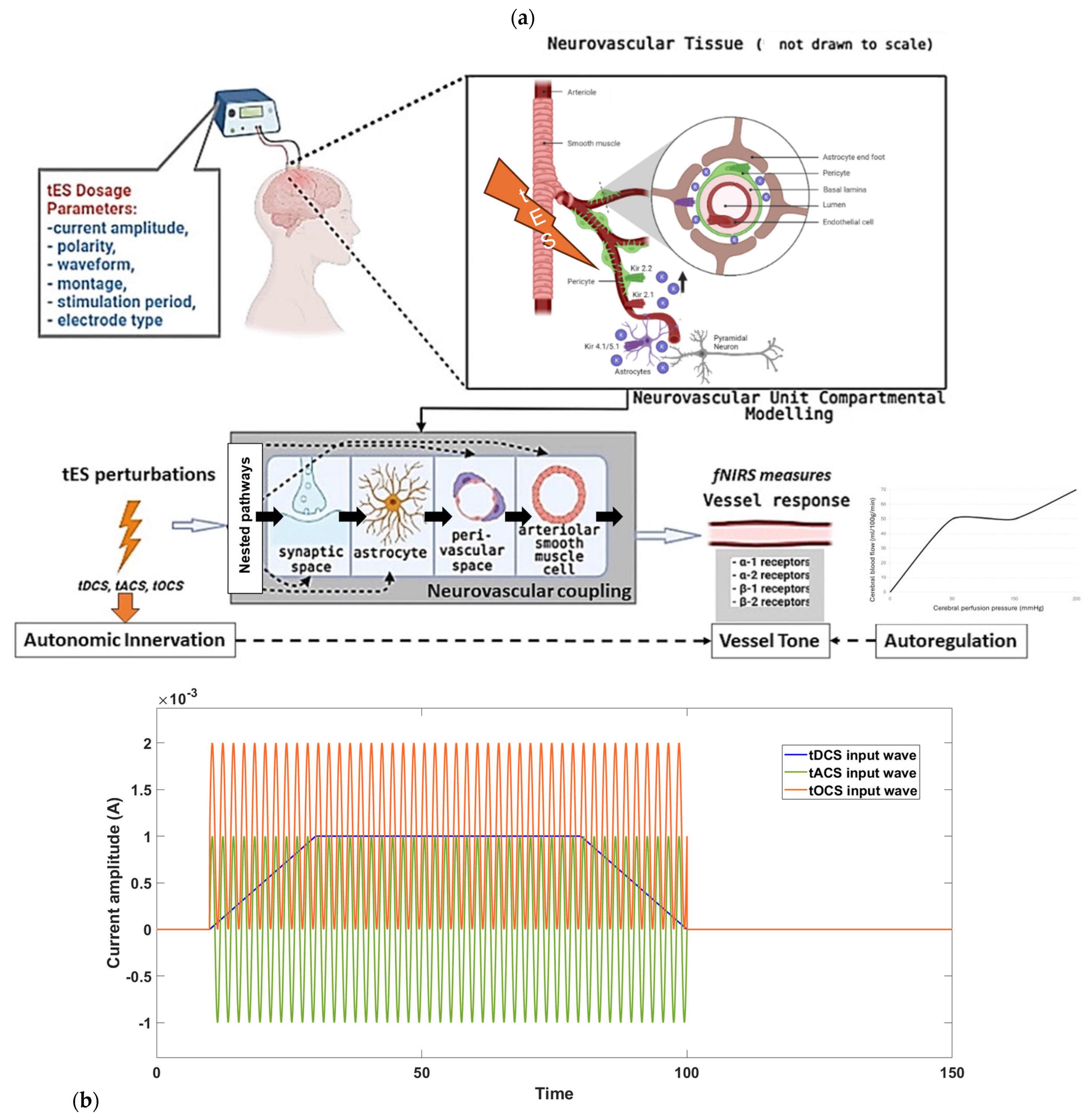 Brainsci 14 00591 g001