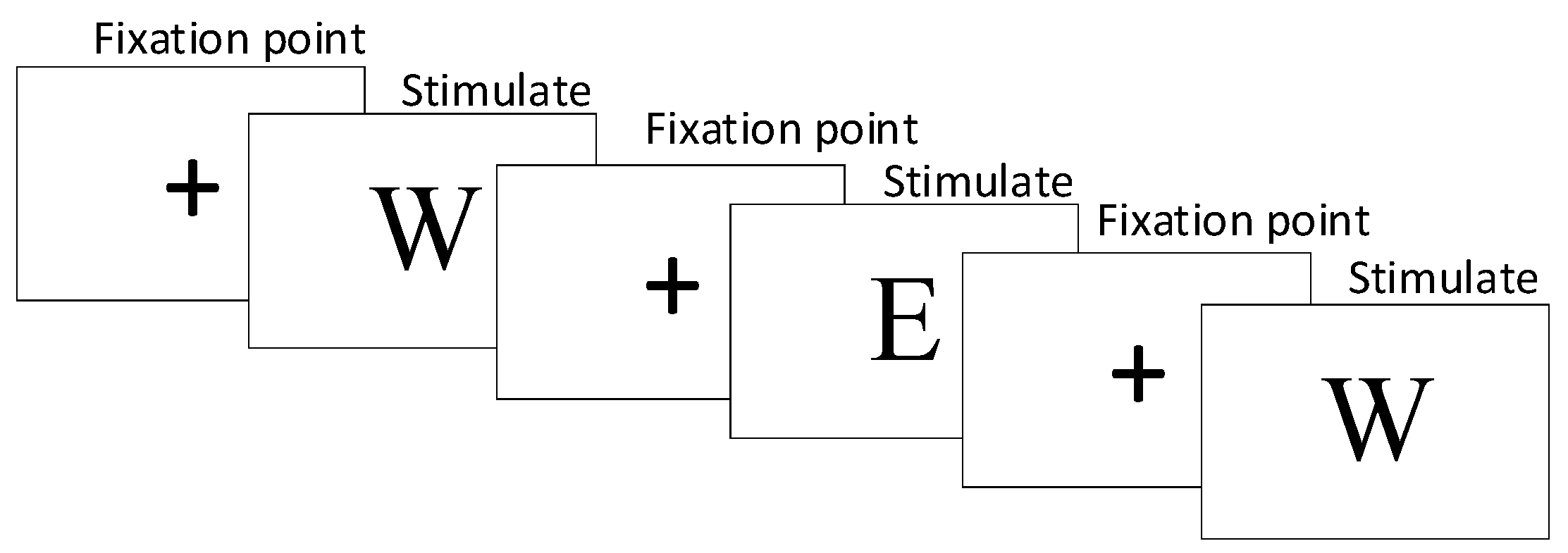 Brainsci 14 00595 g001