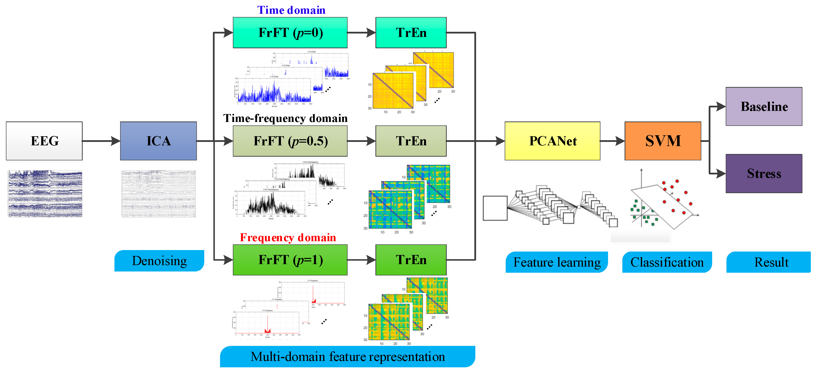 Brainsci 14 00595 g005