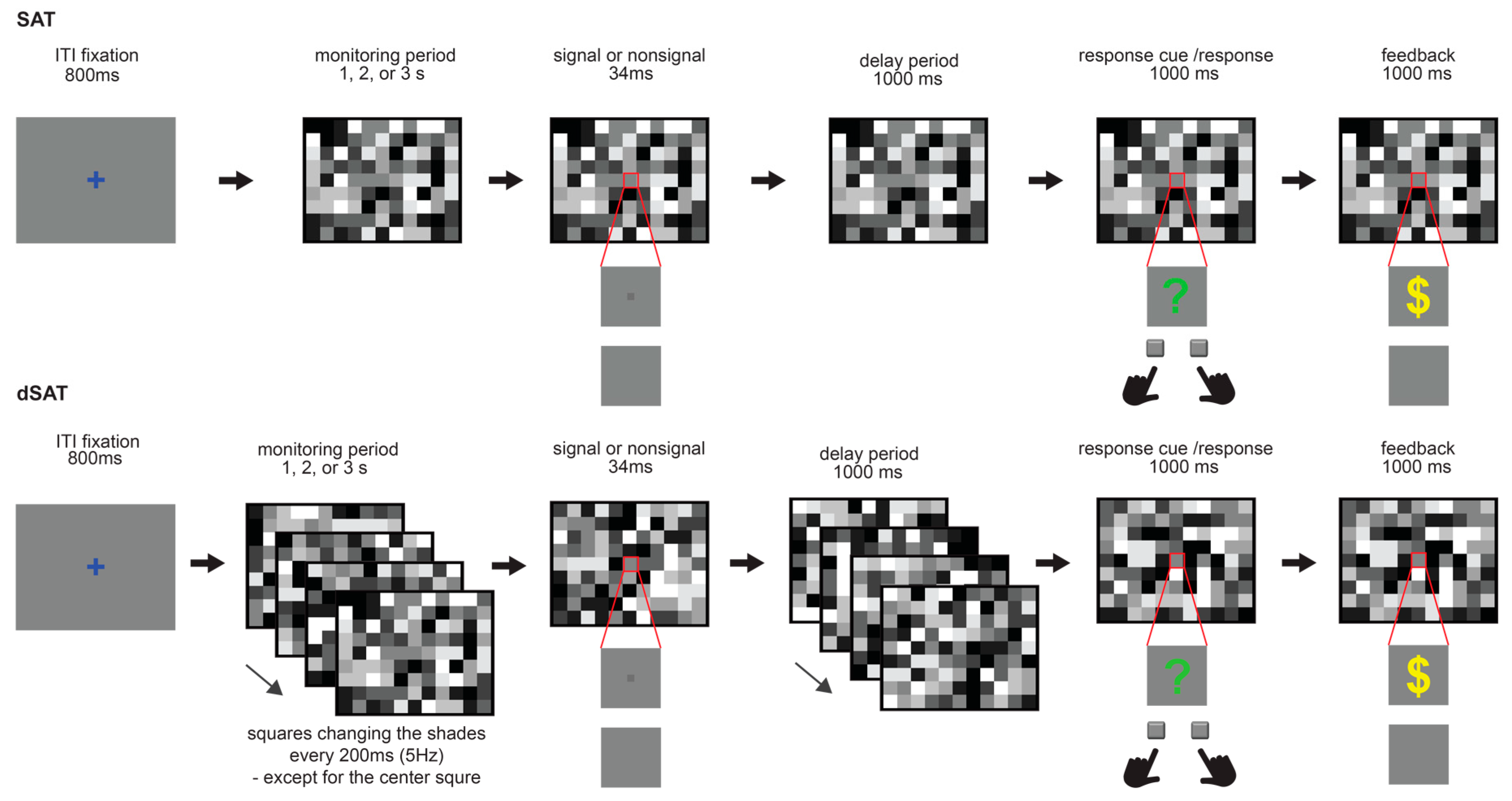 Brainsci 14 00609 g001