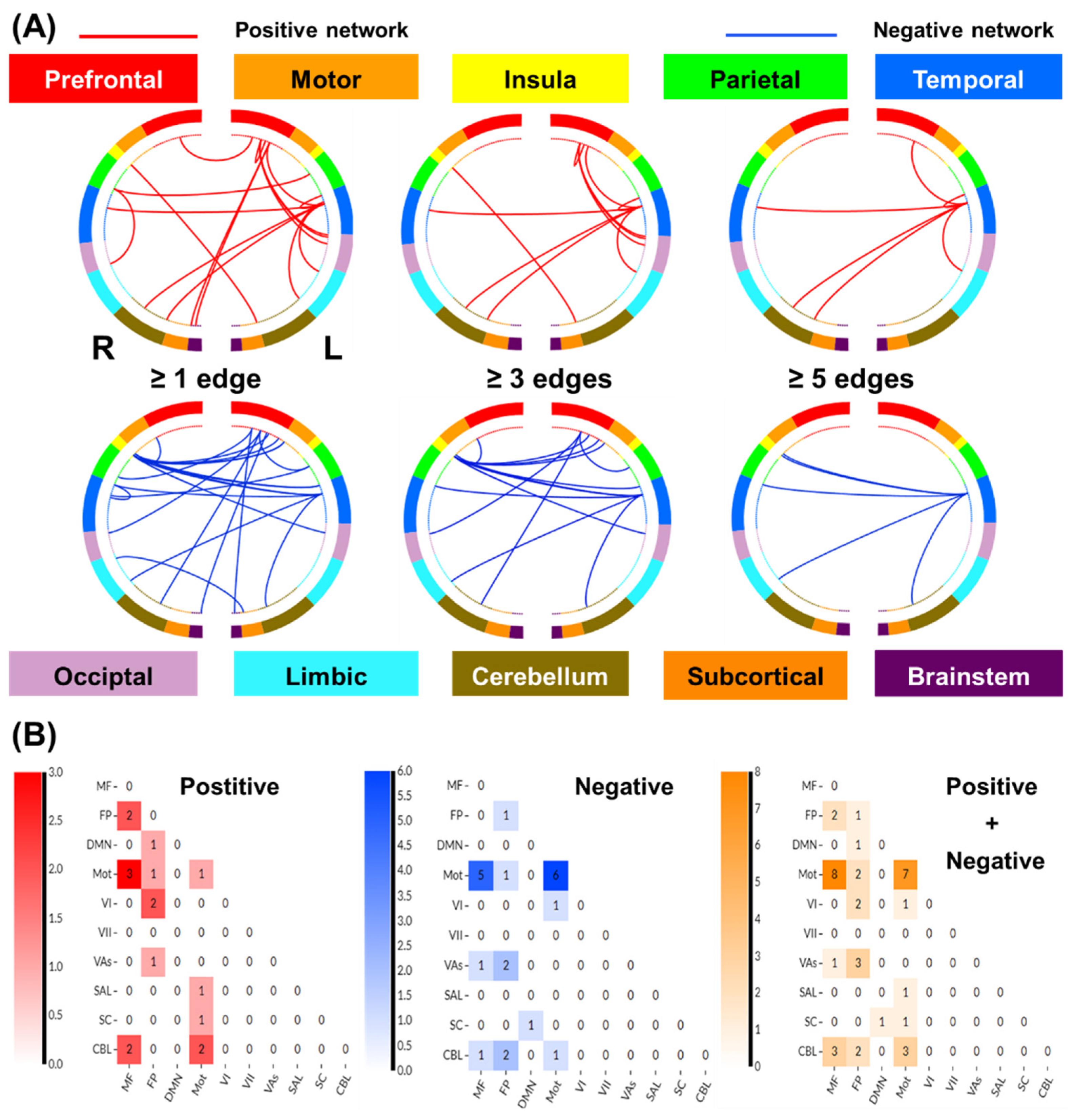 Brainsci 14 00610 g003 Brainsci 14 00610 g003
