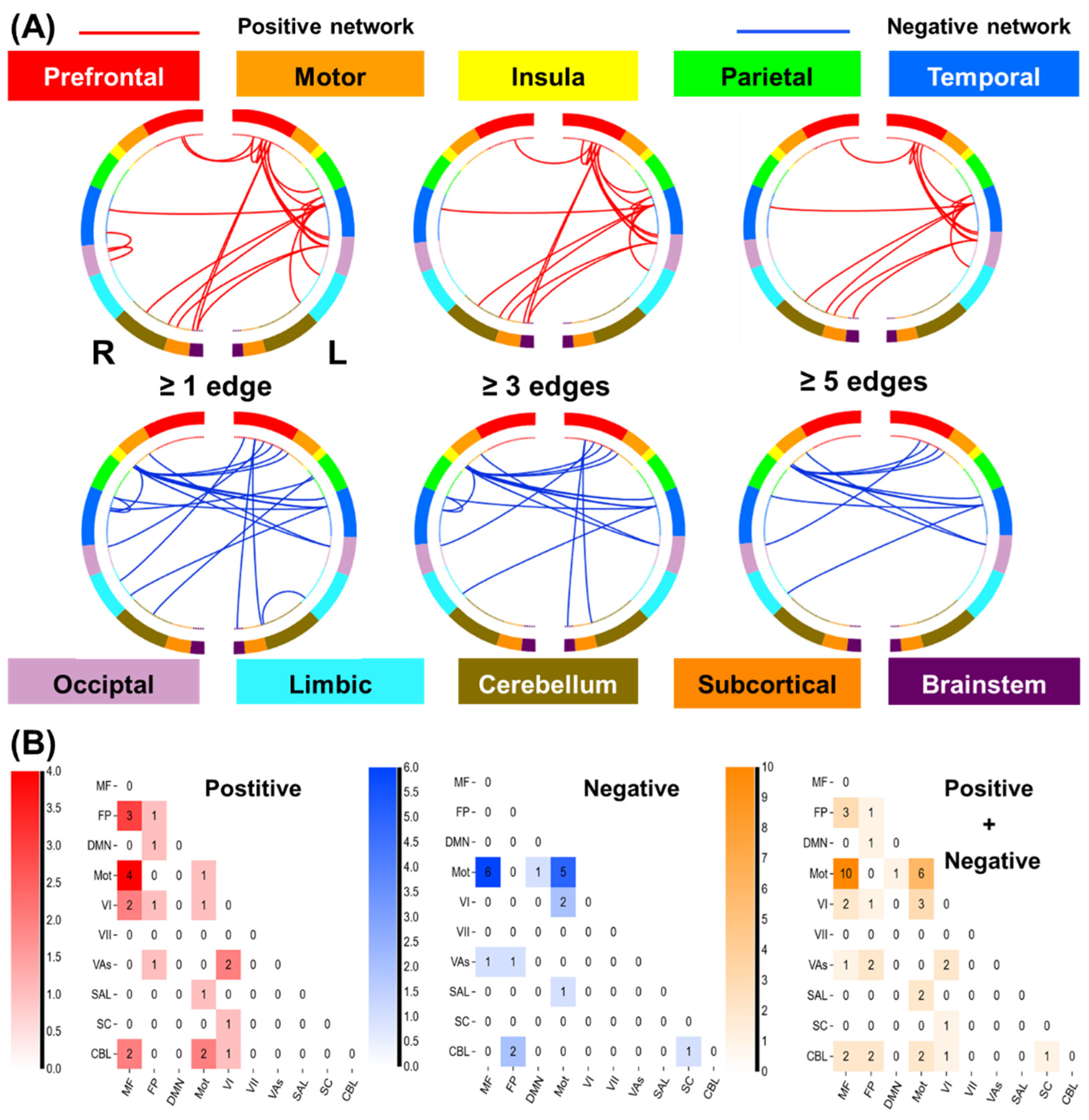 Brainsci 14 00610 g006 Brainsci 14 00610 g006