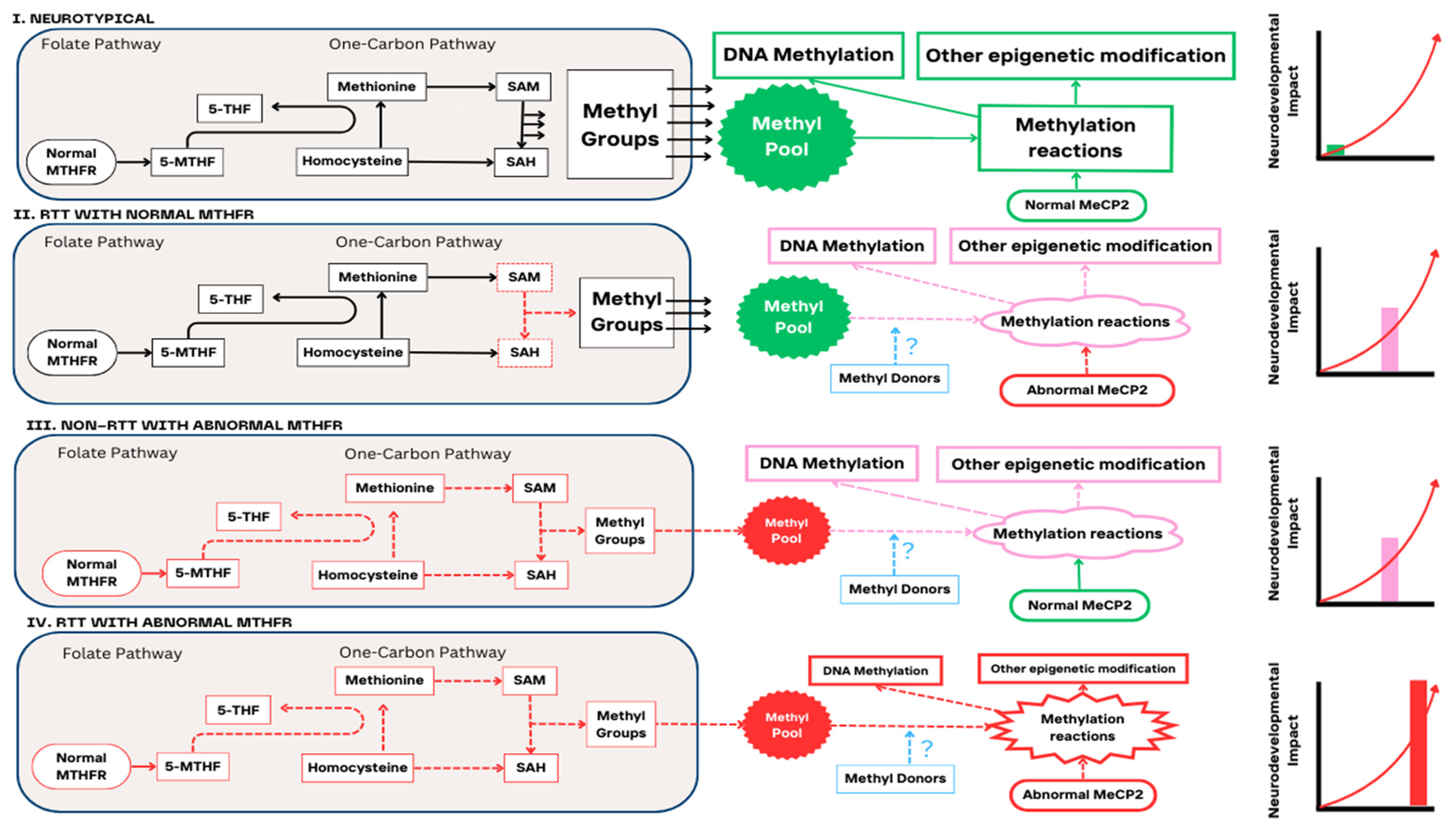 Brainsci 14 00624 g001
