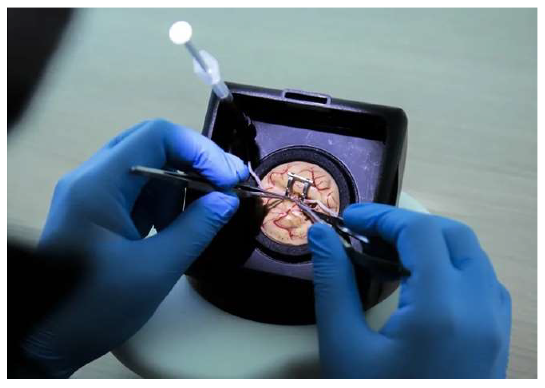 Brainsci 14 00627 g003