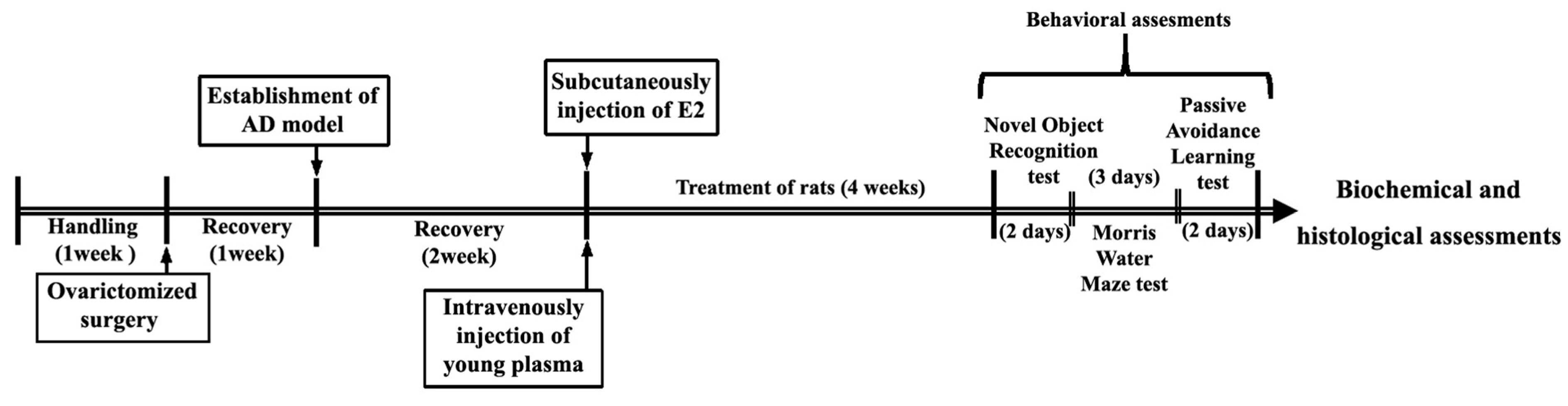 Brainsci 14 00656 g001