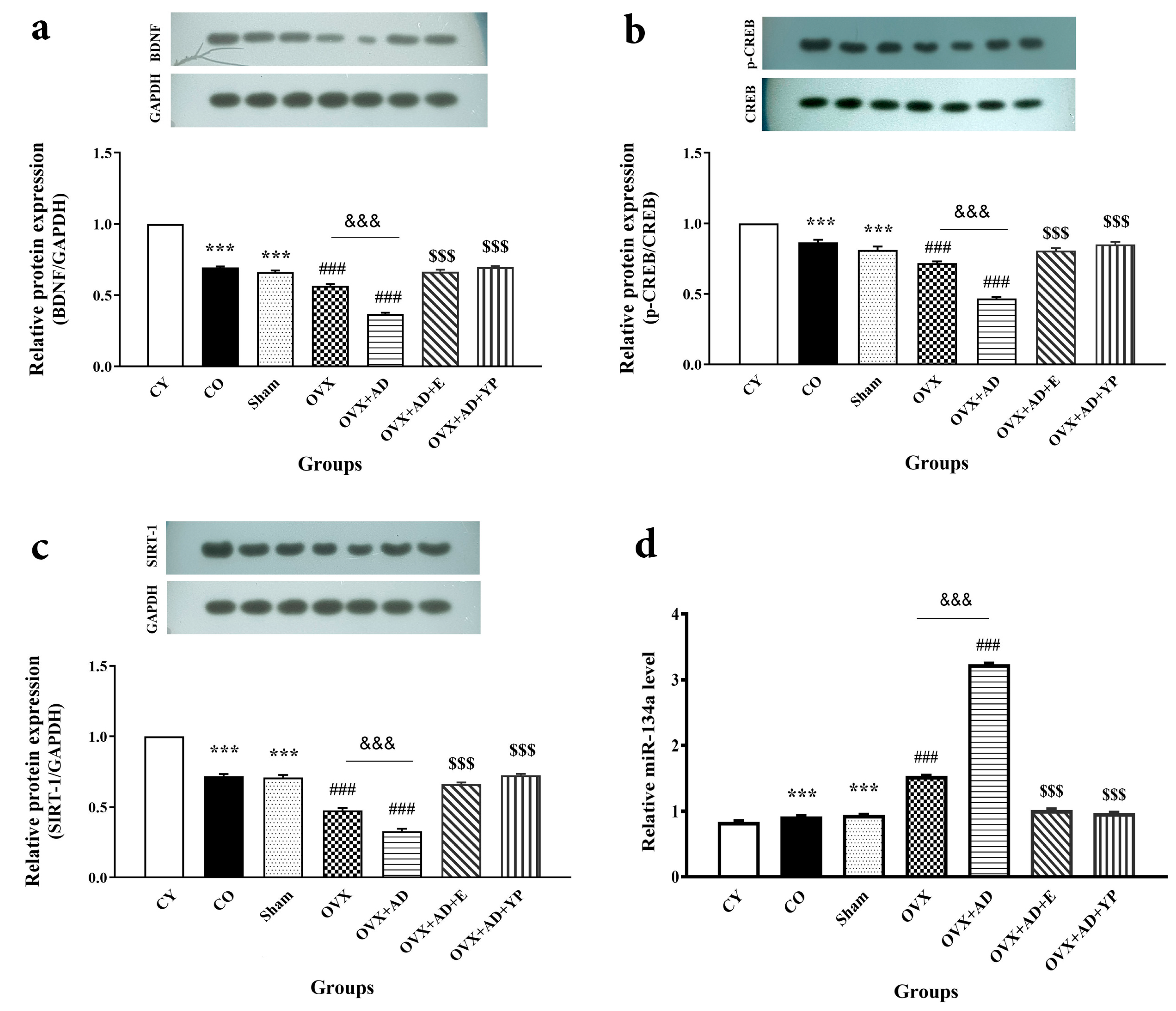 Brainsci 14 00656 g006