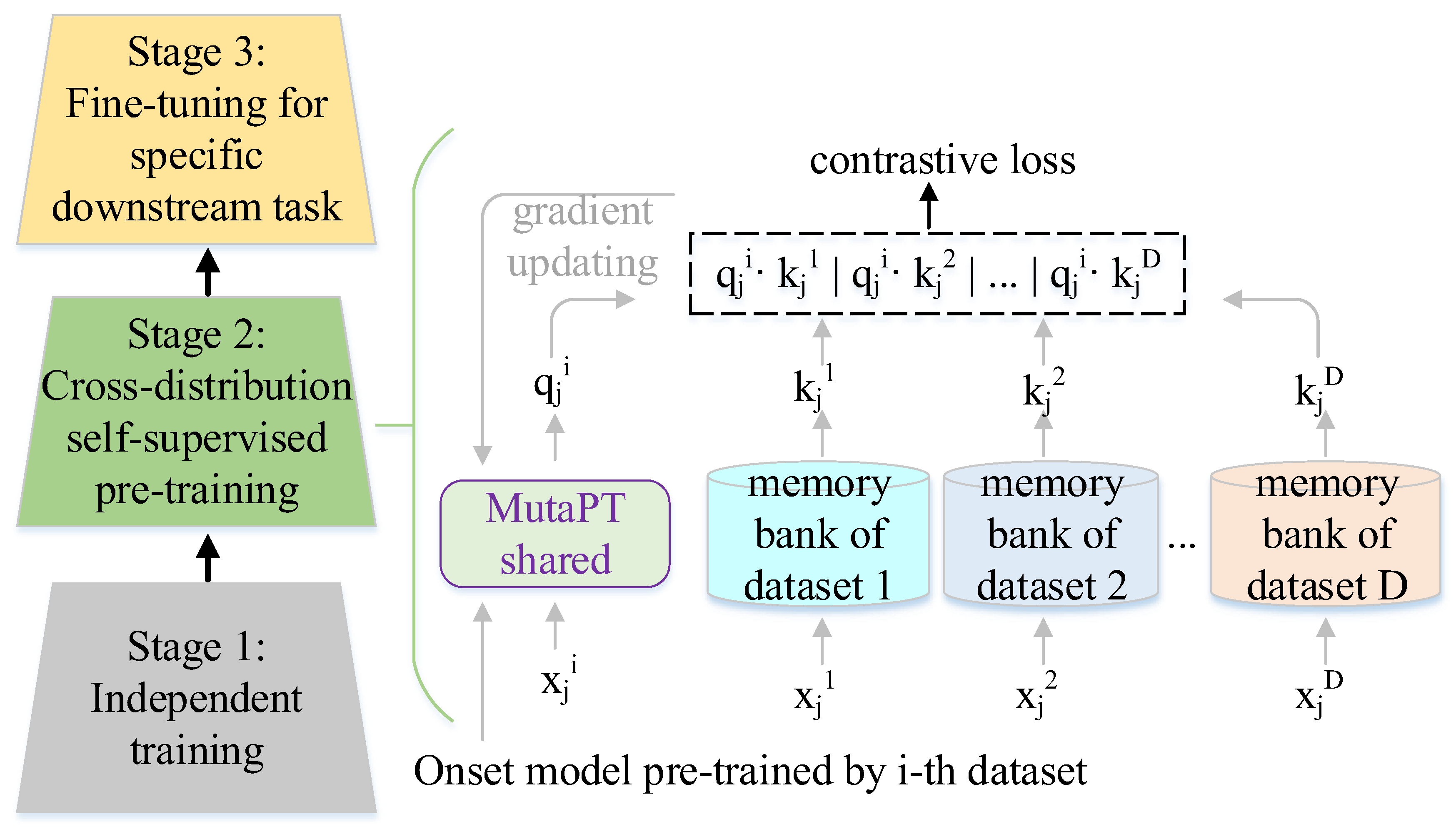 Brainsci 14 00688 g002