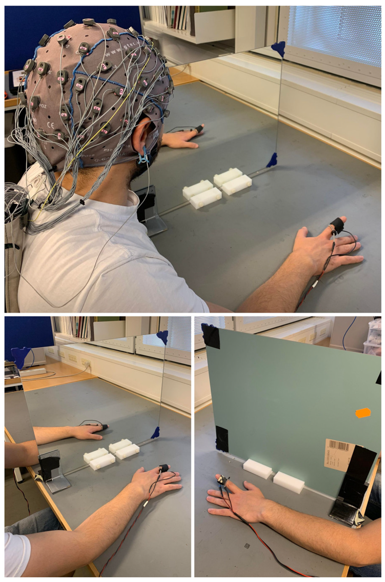 Brainsci 14 00696 g002 Brainsci 14 00696 g002