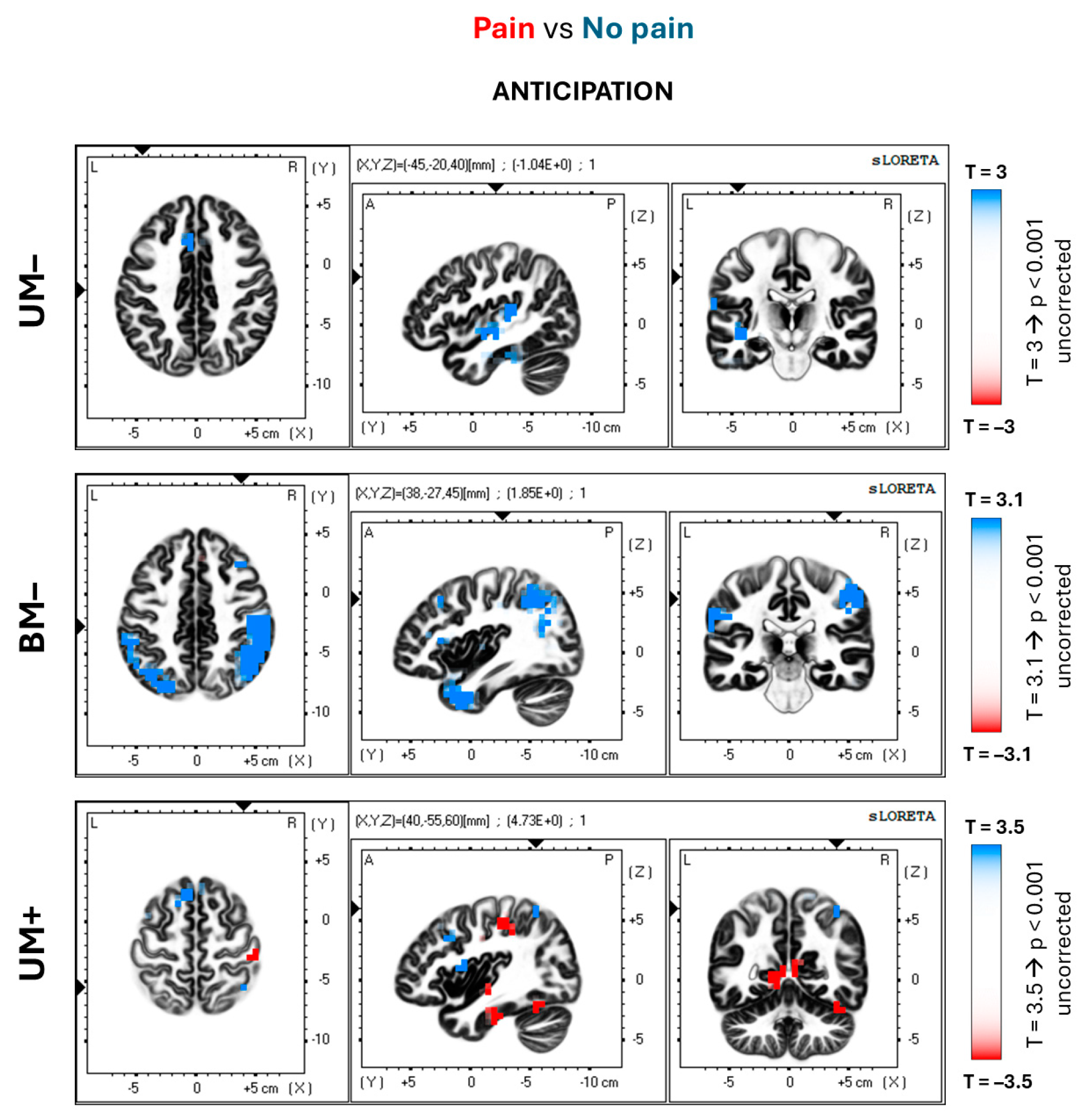 Brainsci 14 00696 g005 Brainsci 14 00696 g005