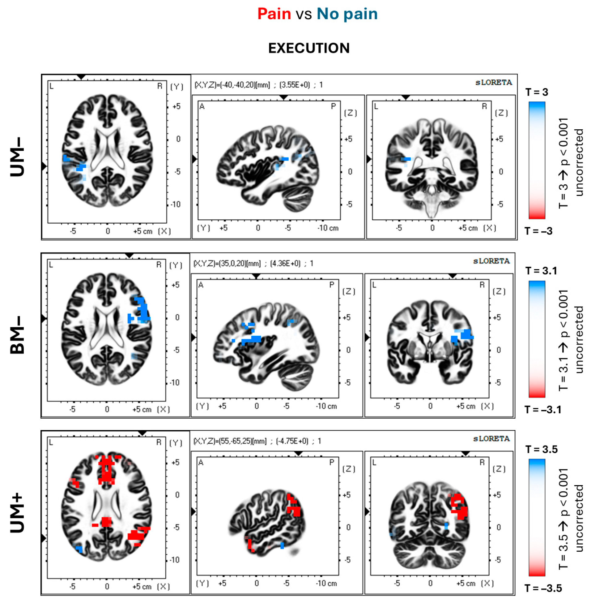 Brainsci 14 00696 g006 Brainsci 14 00696 g006