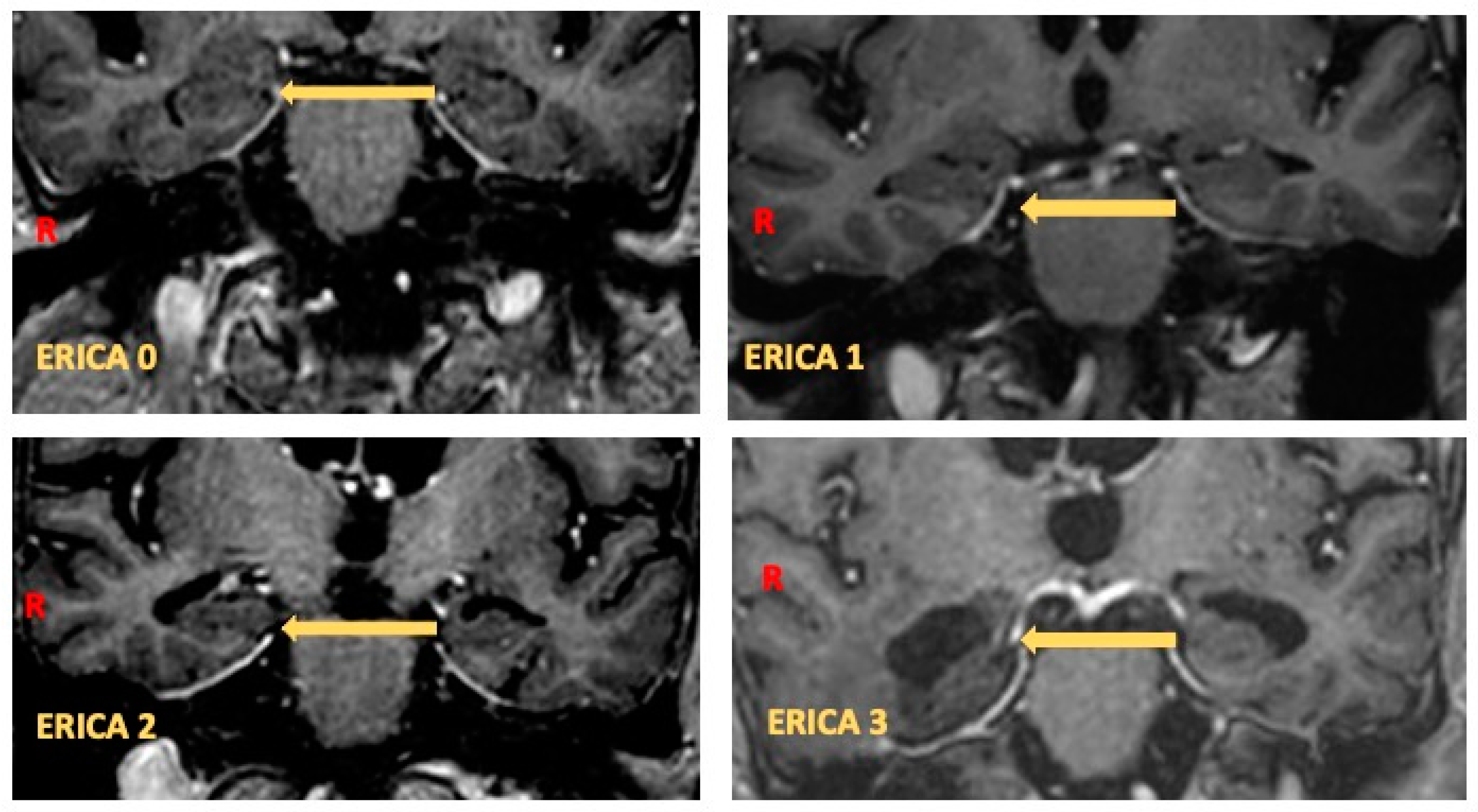 Brainsci 14 00697 g001 Brainsci 14 00697 g001