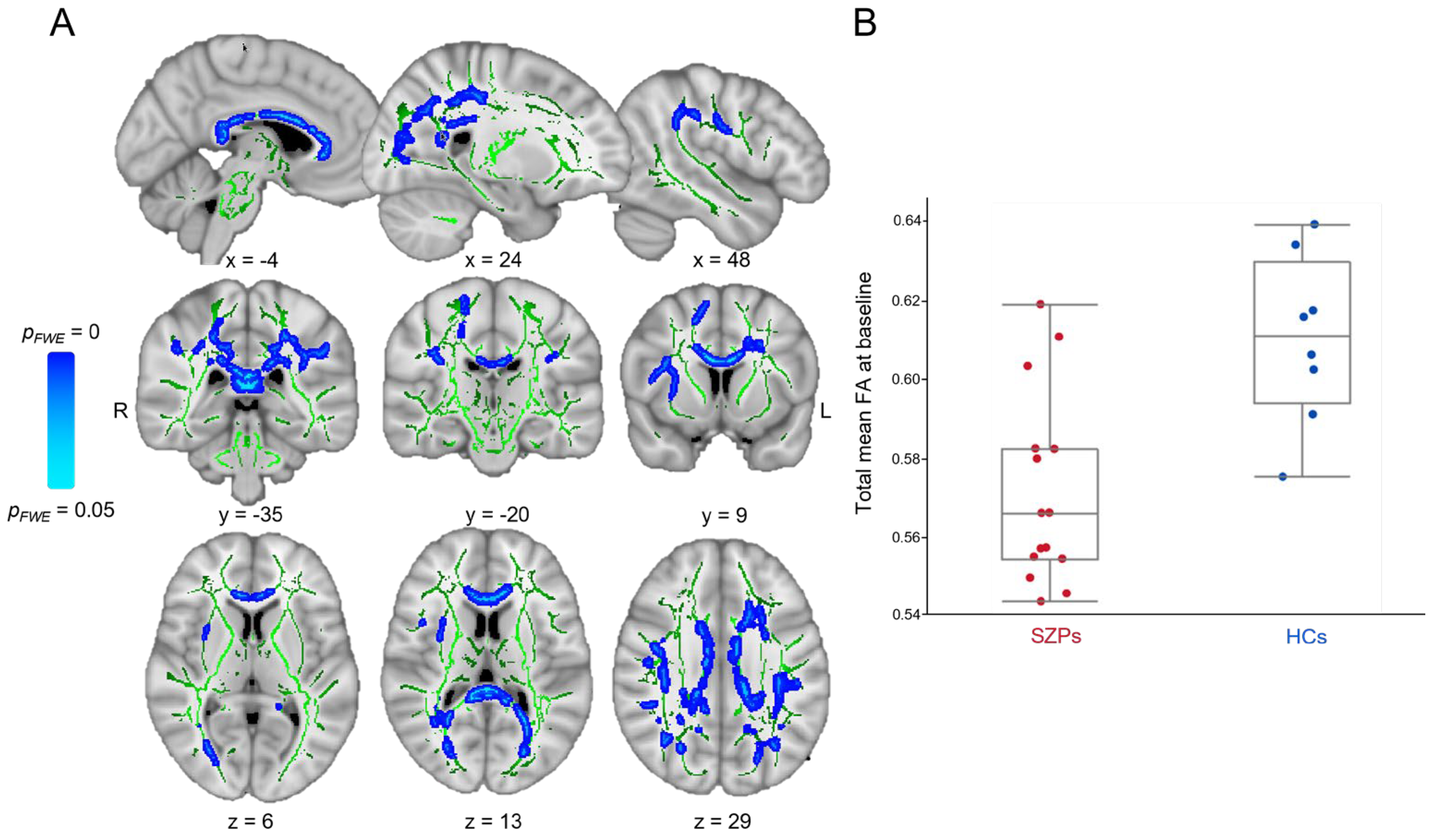 Brainsci 14 00710 g001 Brainsci 14 00710 g001