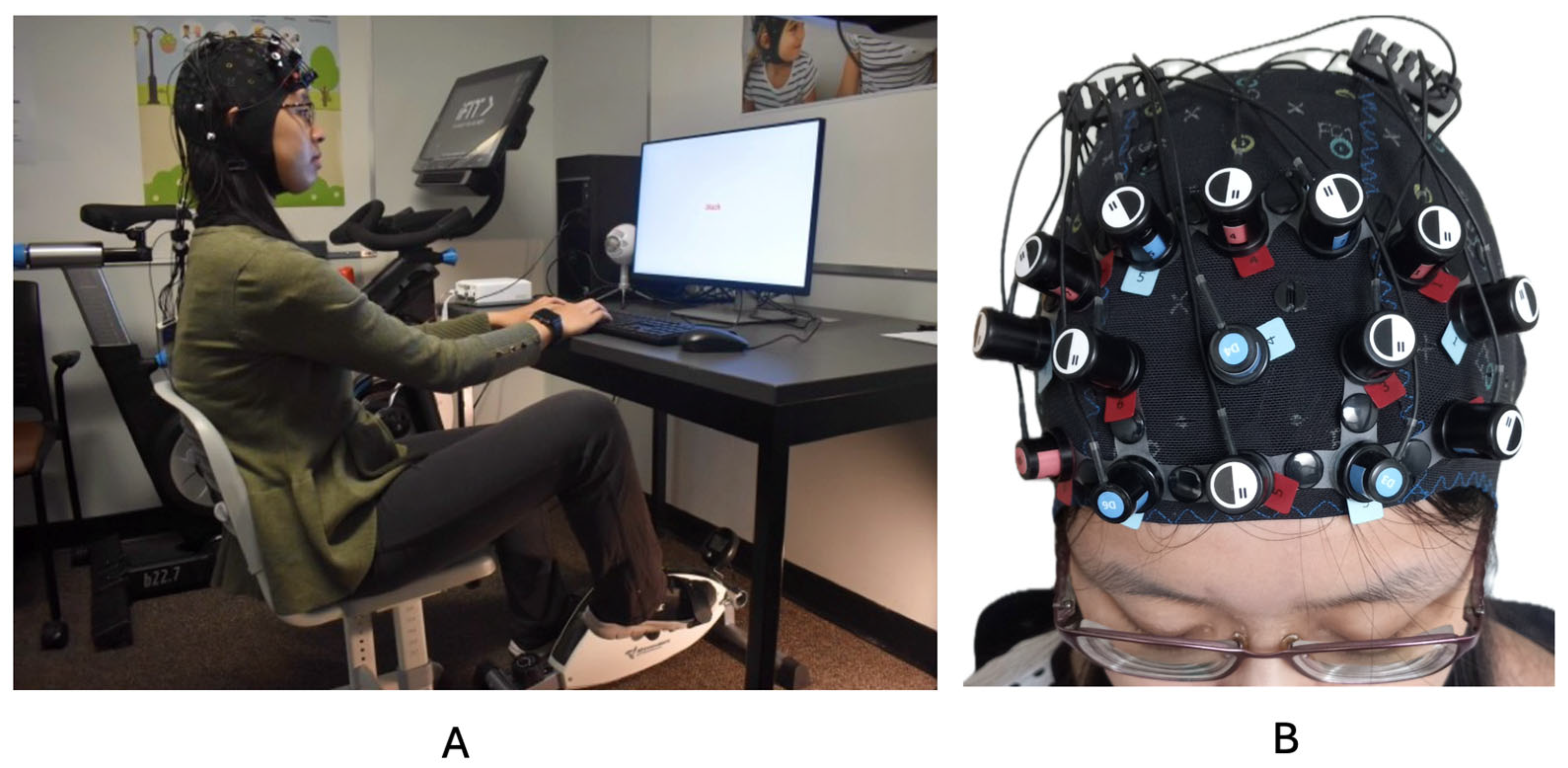 Brainsci 14 00719 g001