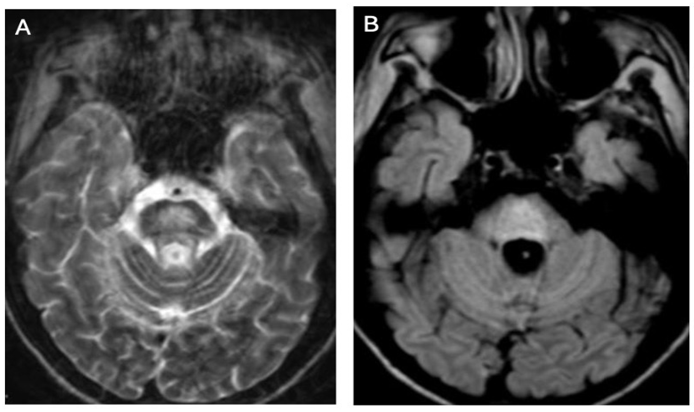 Brainsci 14 00727 g002