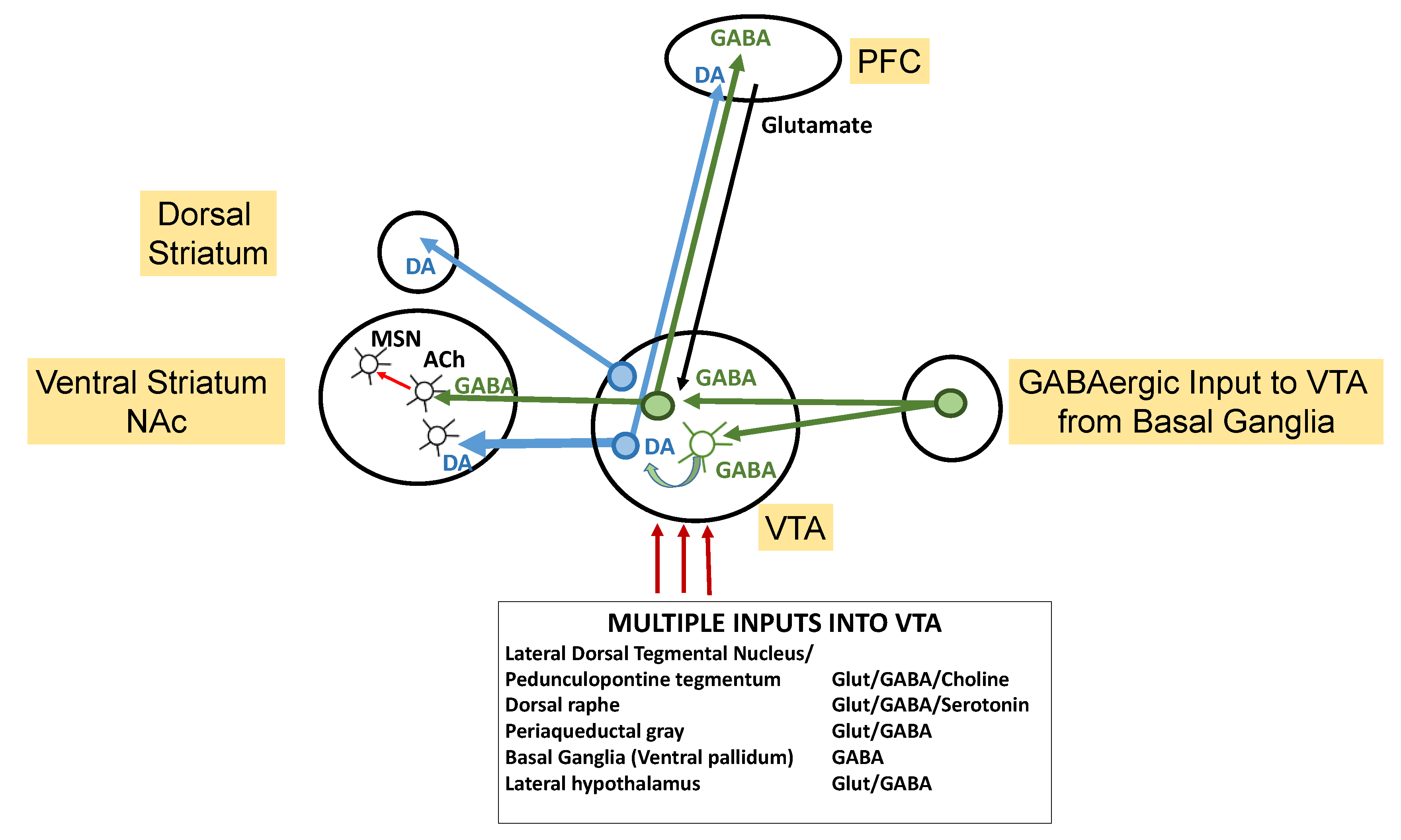 Brainsci 14 00733 g005