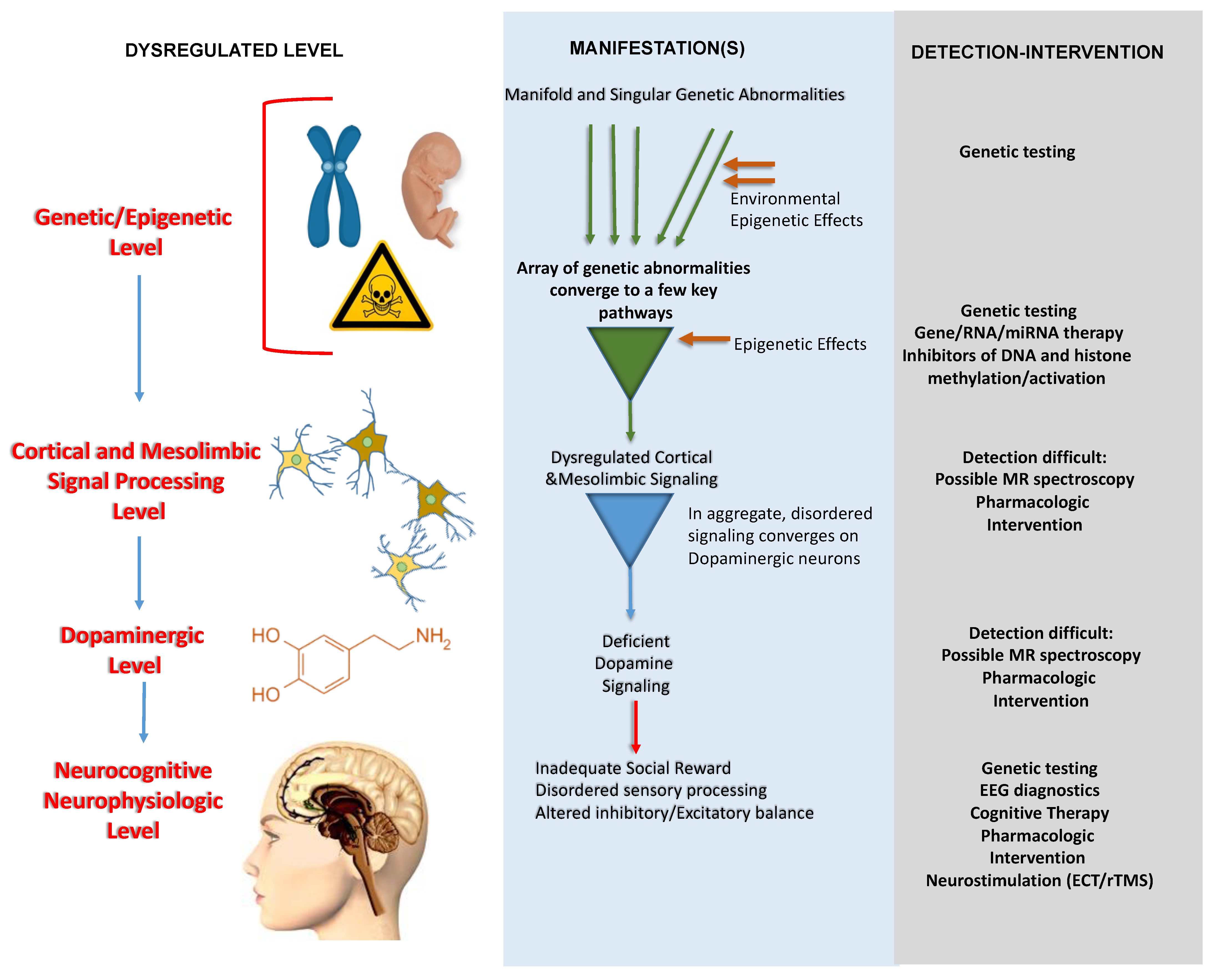 Brainsci 14 00733 g006