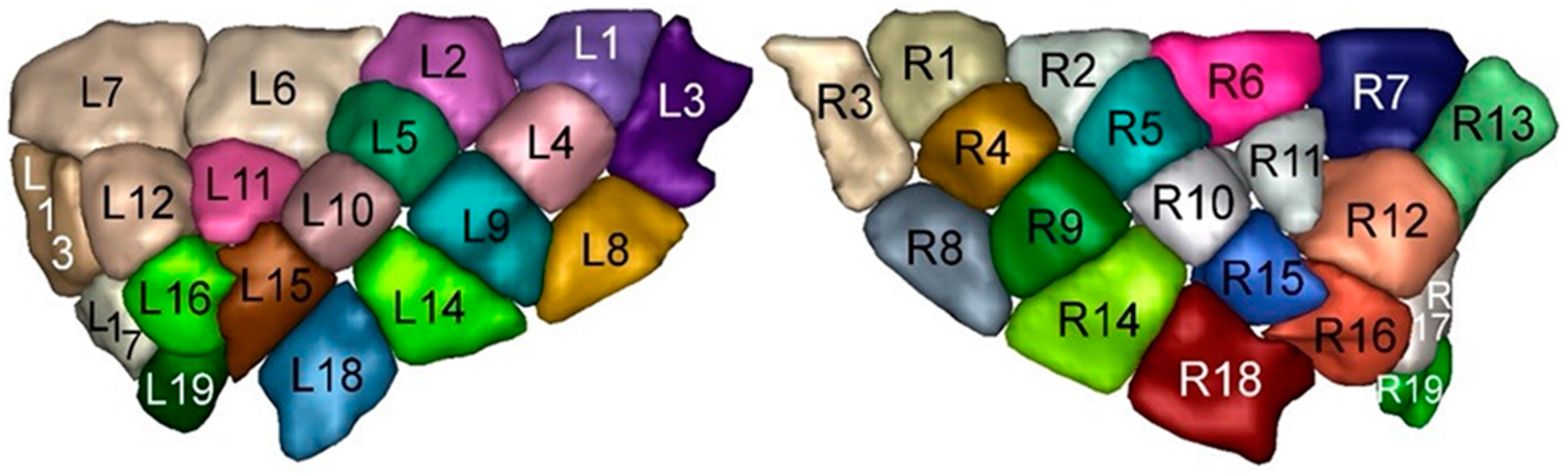 Brainsci 14 00742 g001