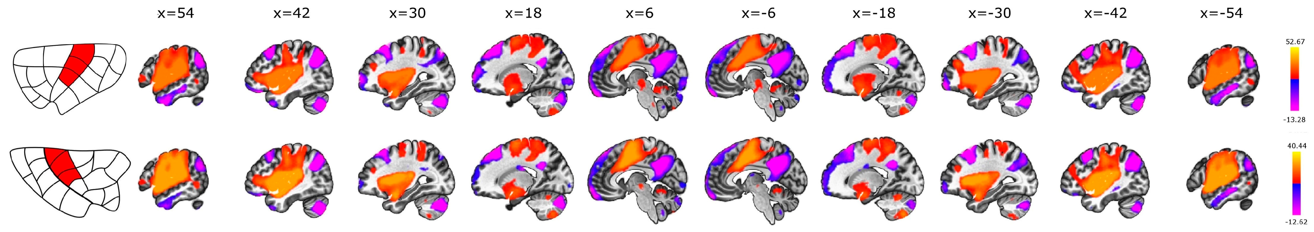 Brainsci 14 00742 g004