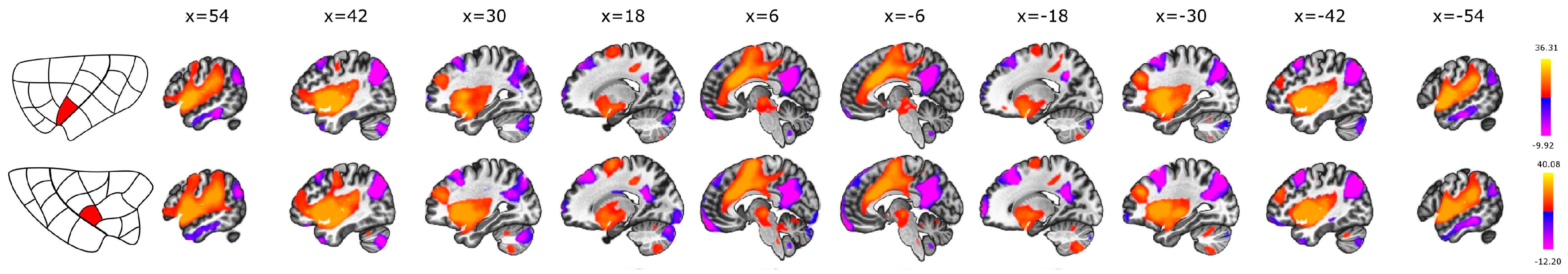 Brainsci 14 00742 g007