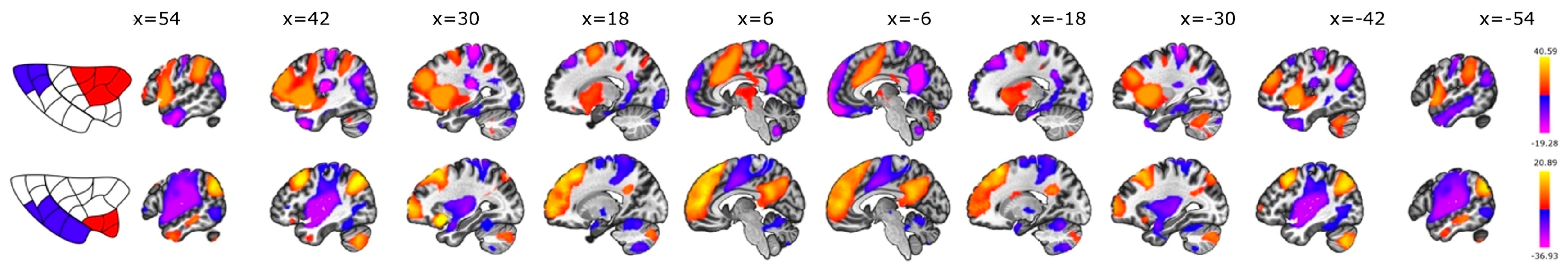 Brainsci 14 00742 g010