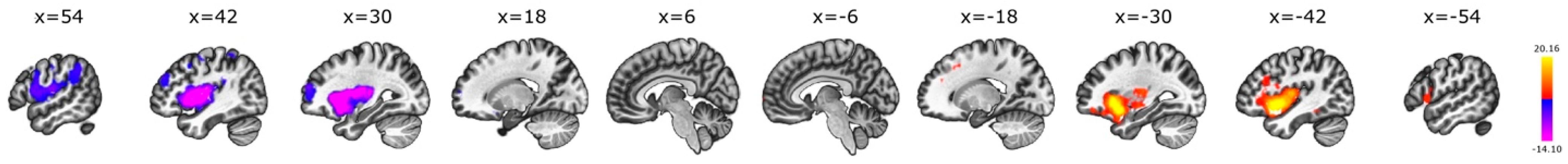 Brainsci 14 00742 g012