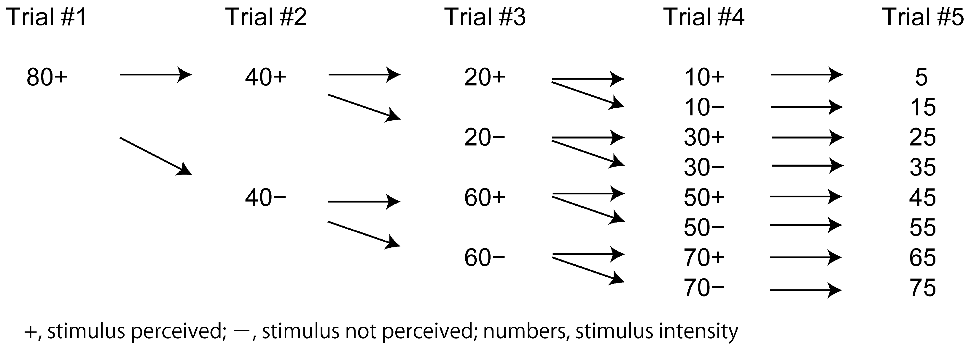 Brainsci 14 00749 g001
