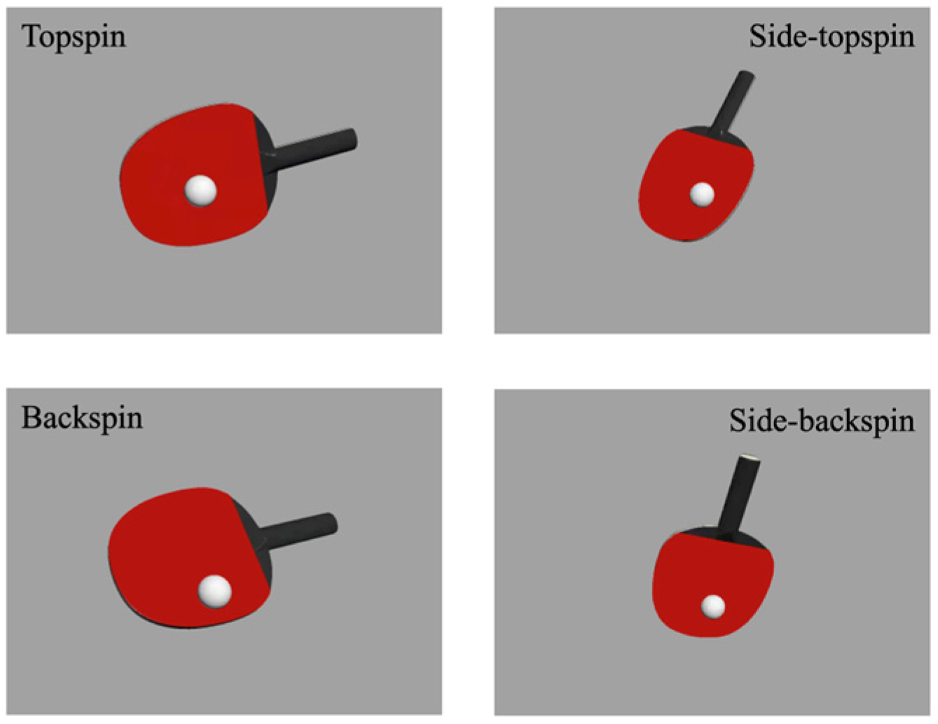 Brainsci 14 00756 g001 Brainsci 14 00756 g001