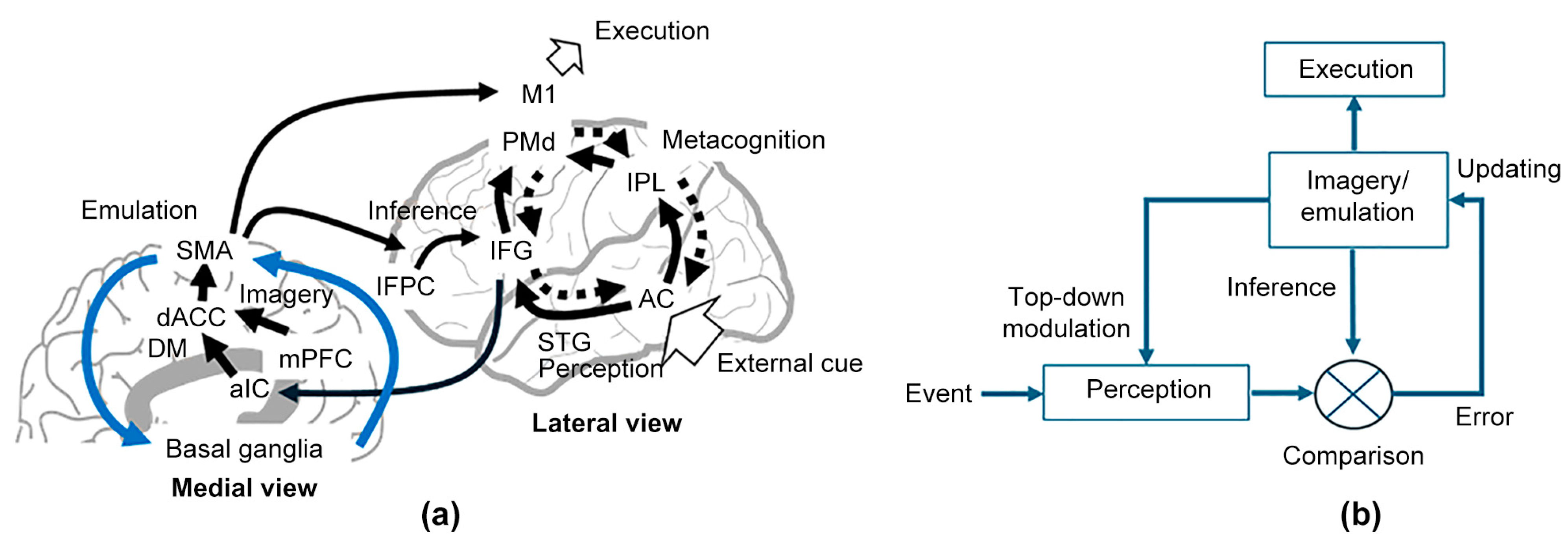 Brainsci 14 00757 g002 Brainsci 14 00757 g002