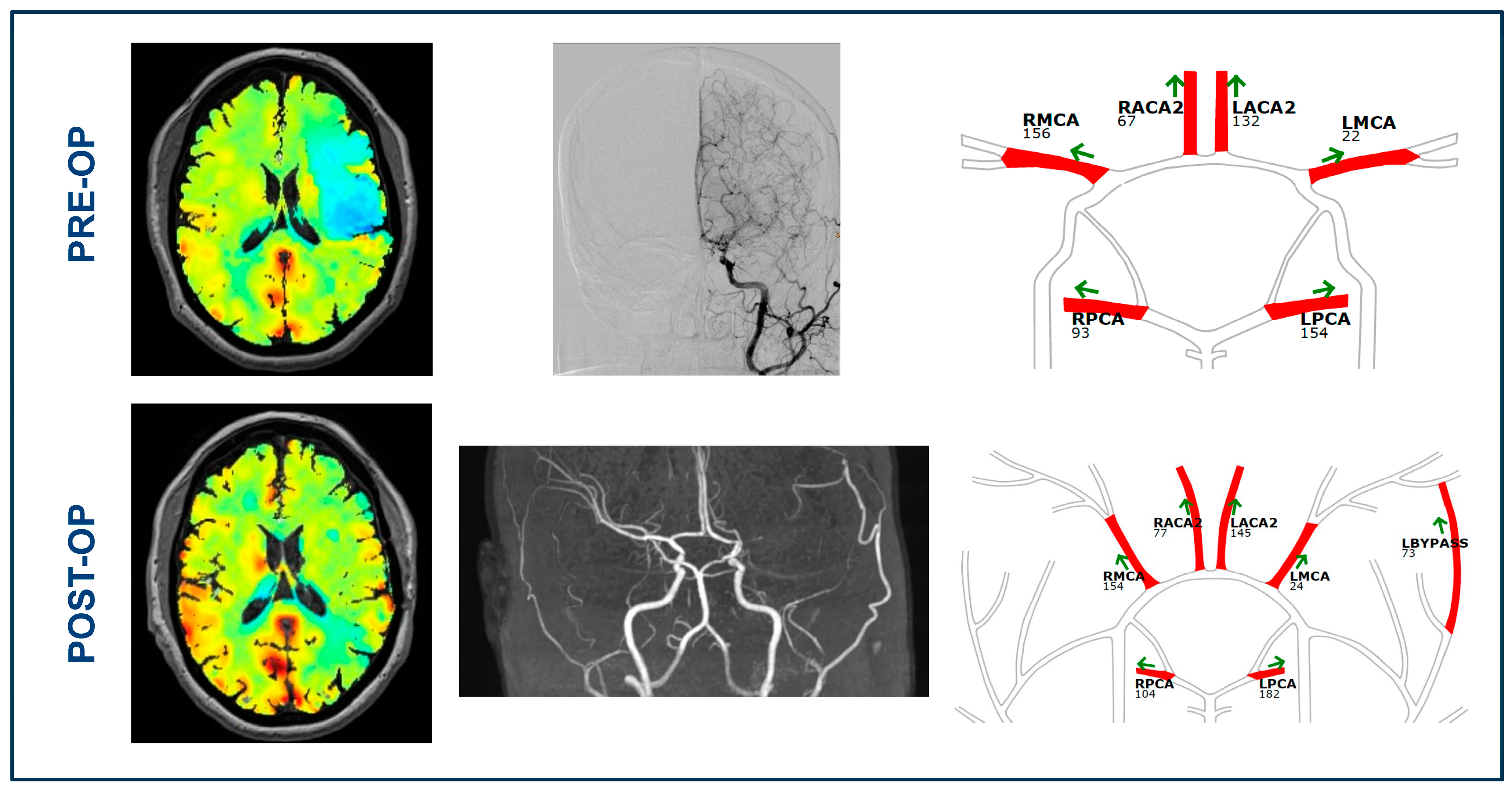 Brainsci 14 00762 g001