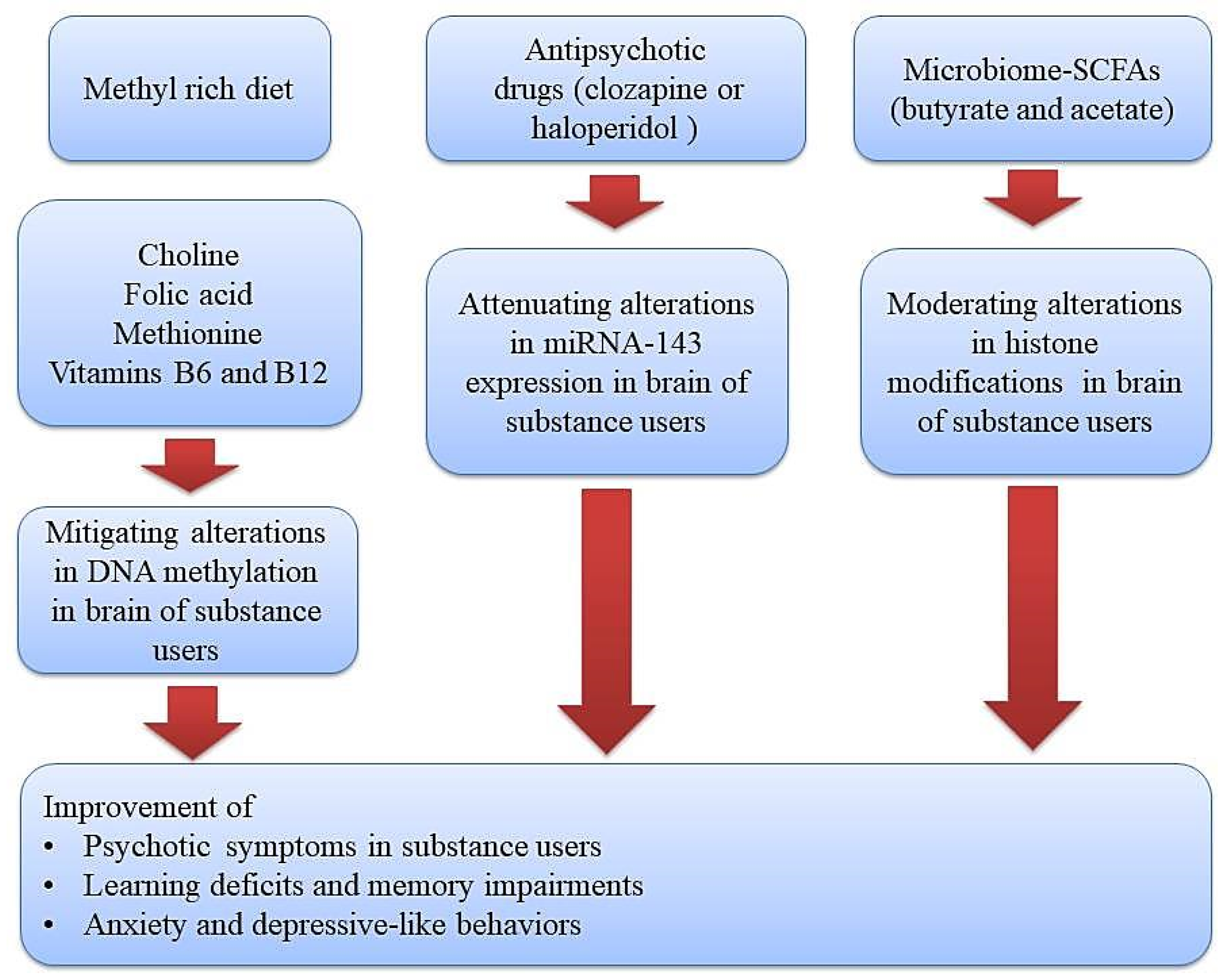 Brainsci 14 00769 g001 Brainsci 14 00769 g001