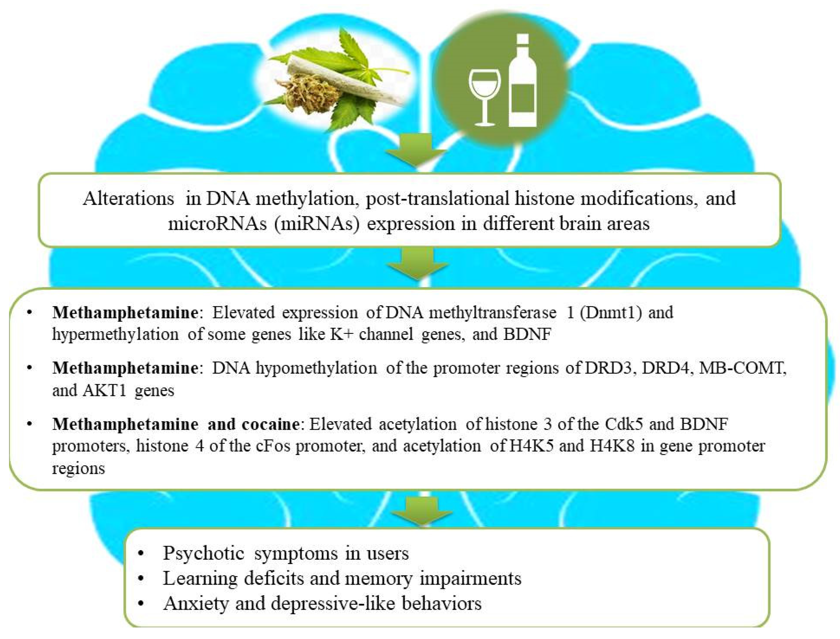 Brainsci 14 00769 g002 Brainsci 14 00769 g002