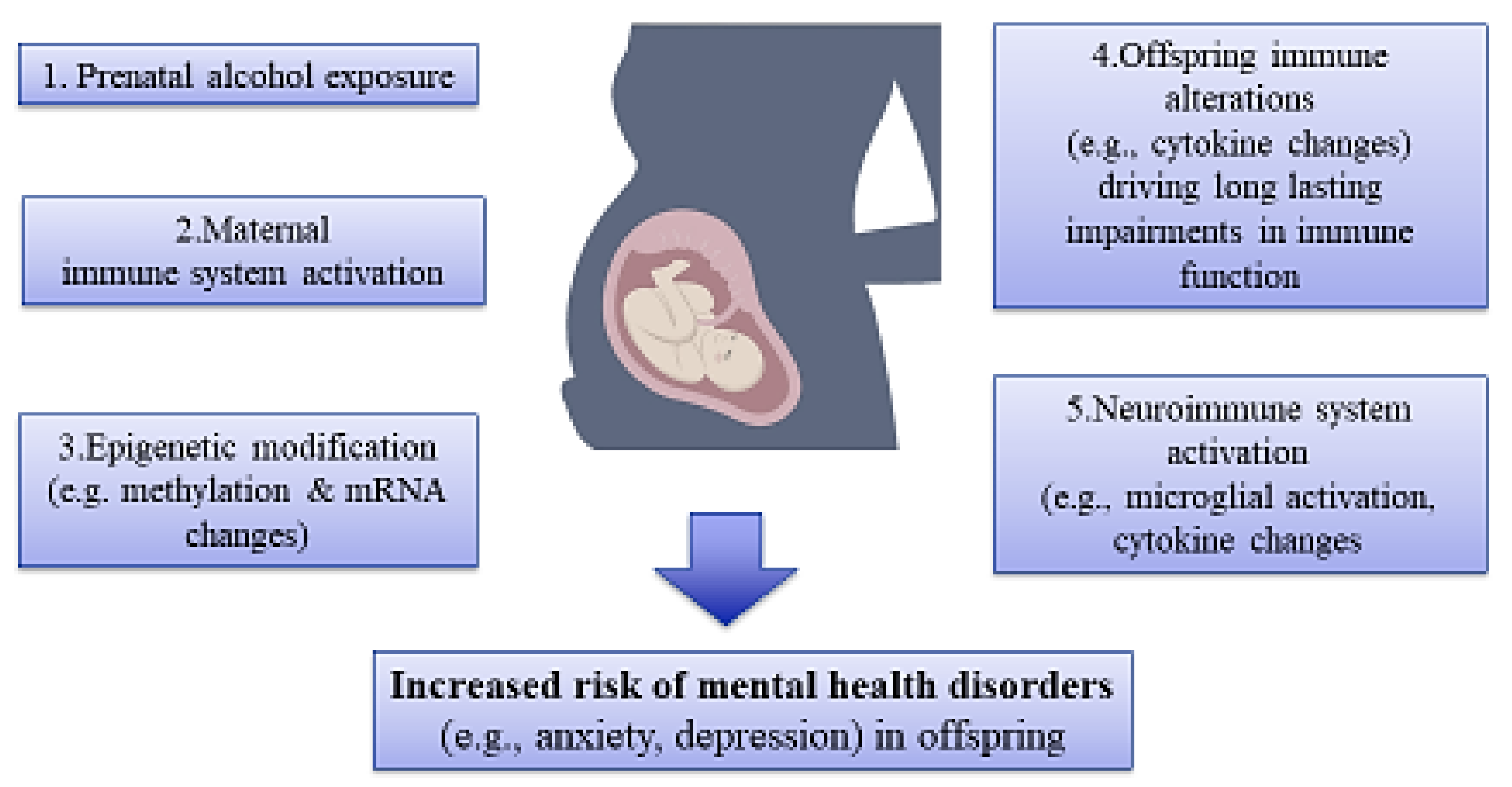 Brainsci 14 00769 g003 Brainsci 14 00769 g003