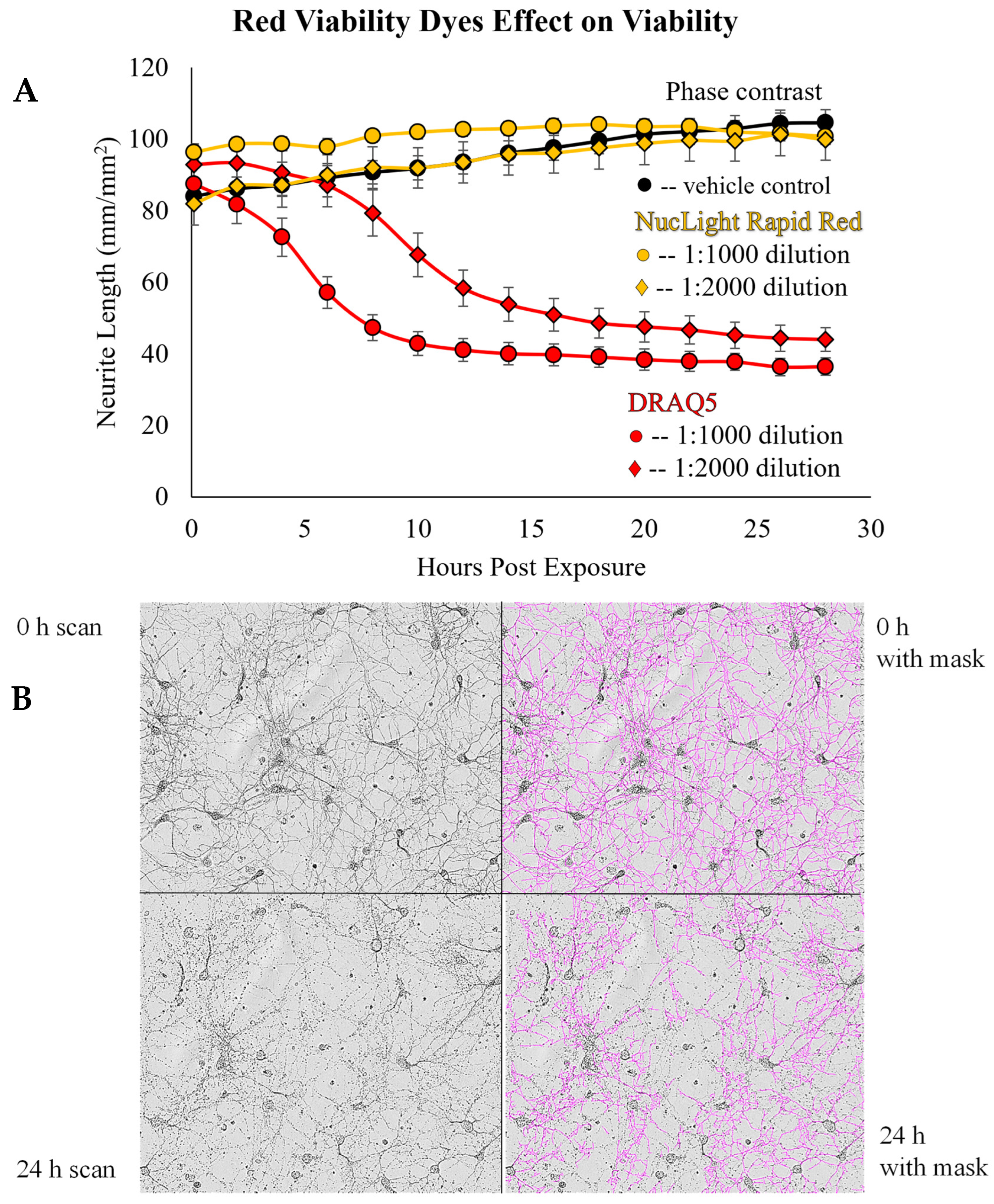 Brainsci 14 00770 g005 Brainsci 14 00770 g005