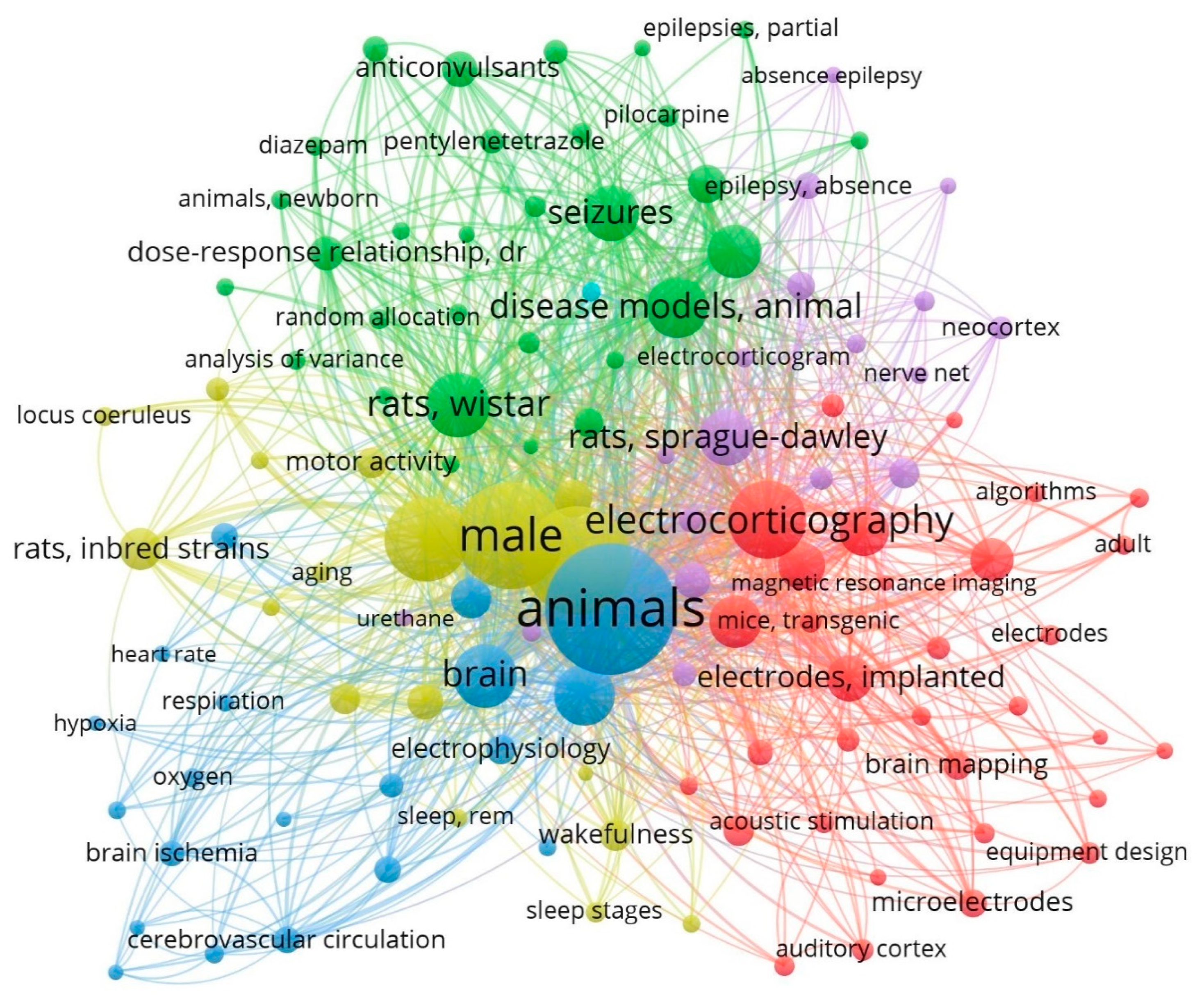 Brainsci 14 00772 g002