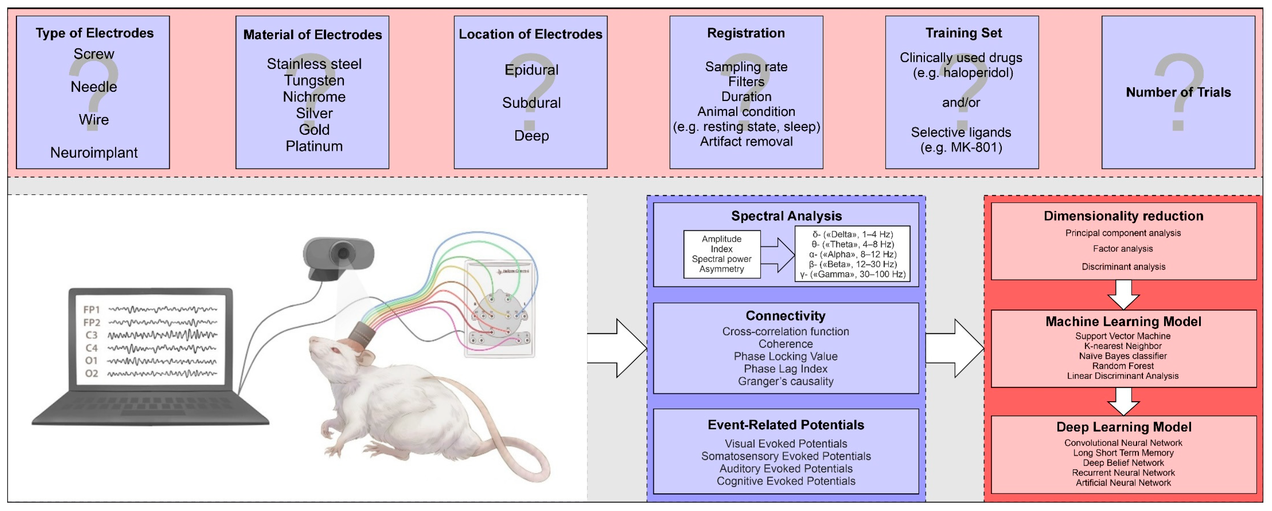Brainsci 14 00772 g004