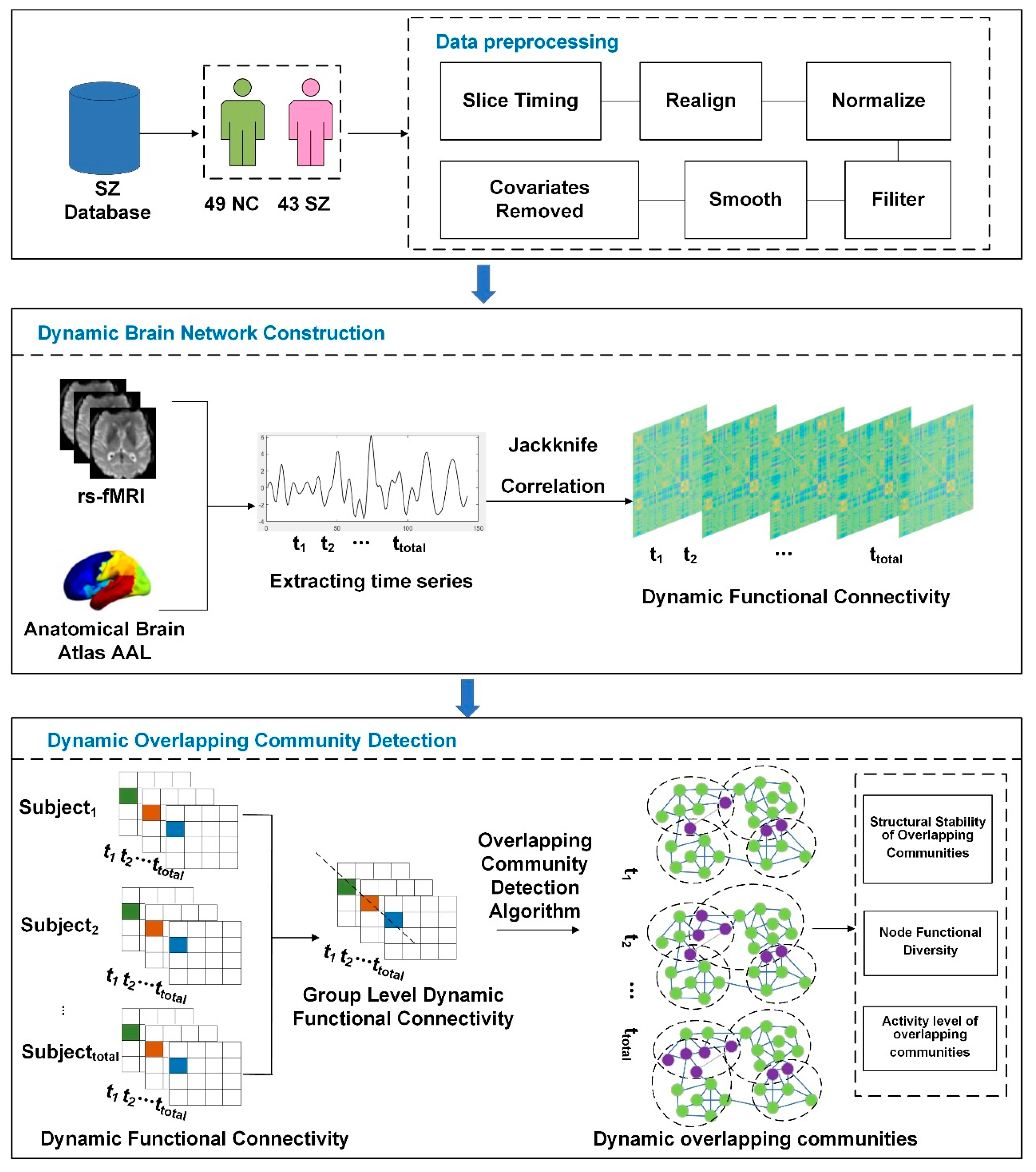 Brainsci 14 00783 g001