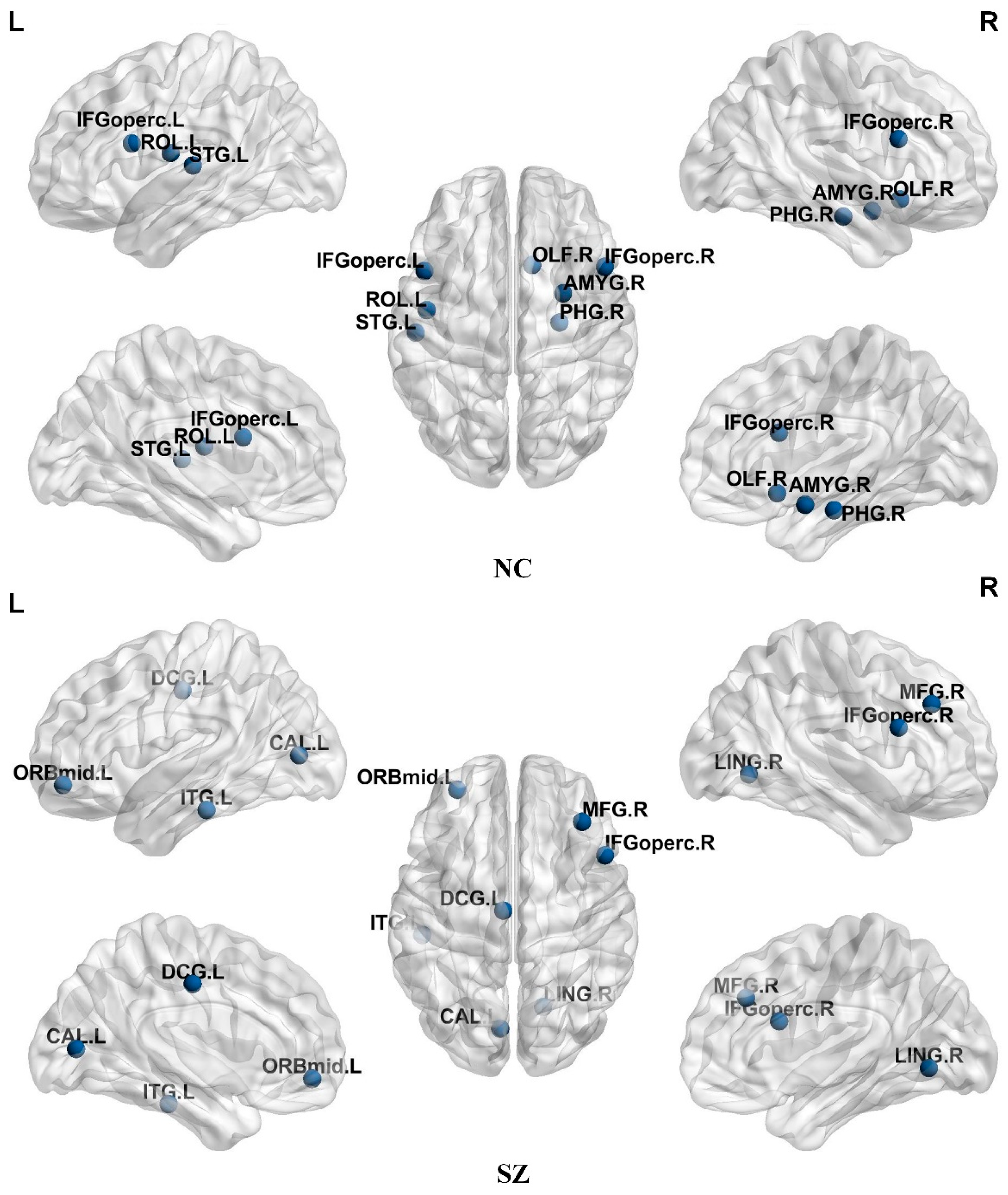 Brainsci 14 00783 g003