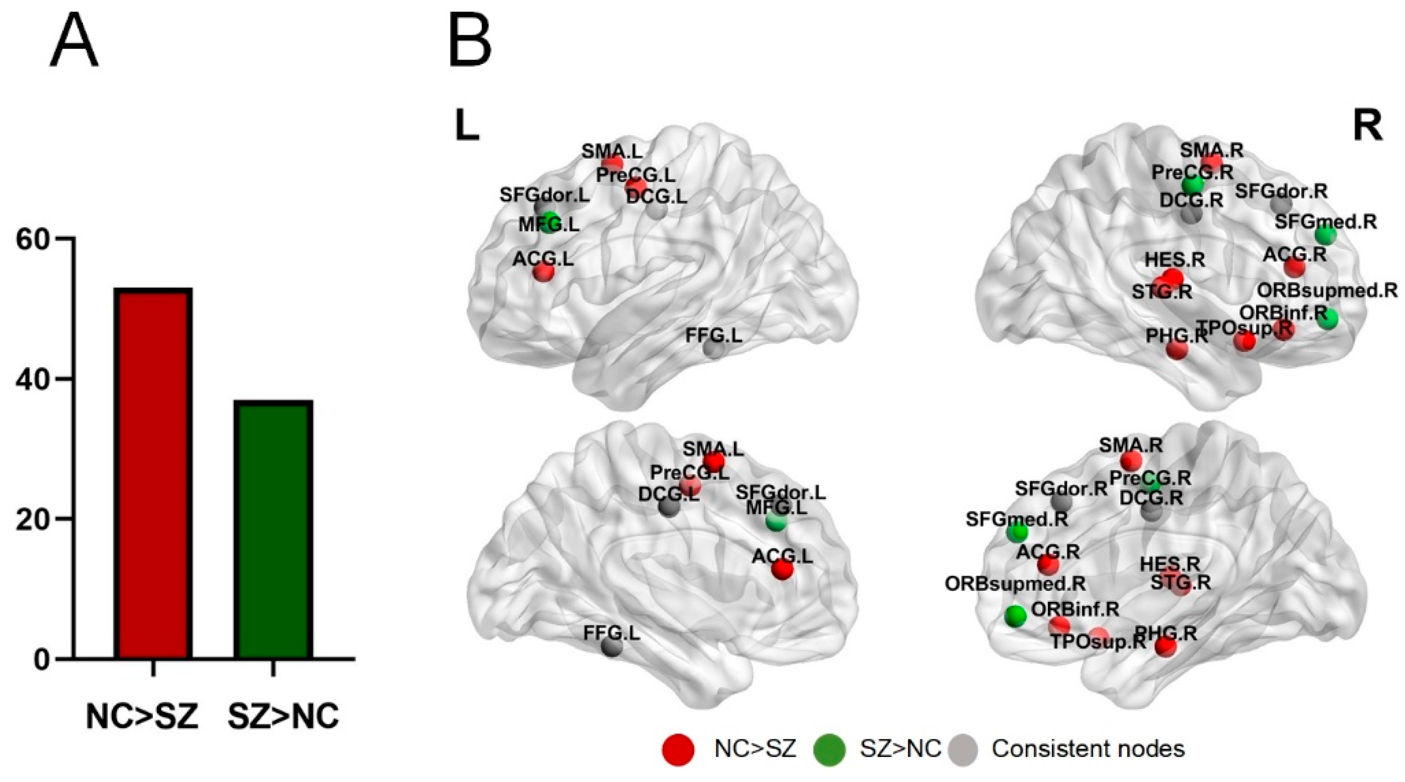 Brainsci 14 00783 g004