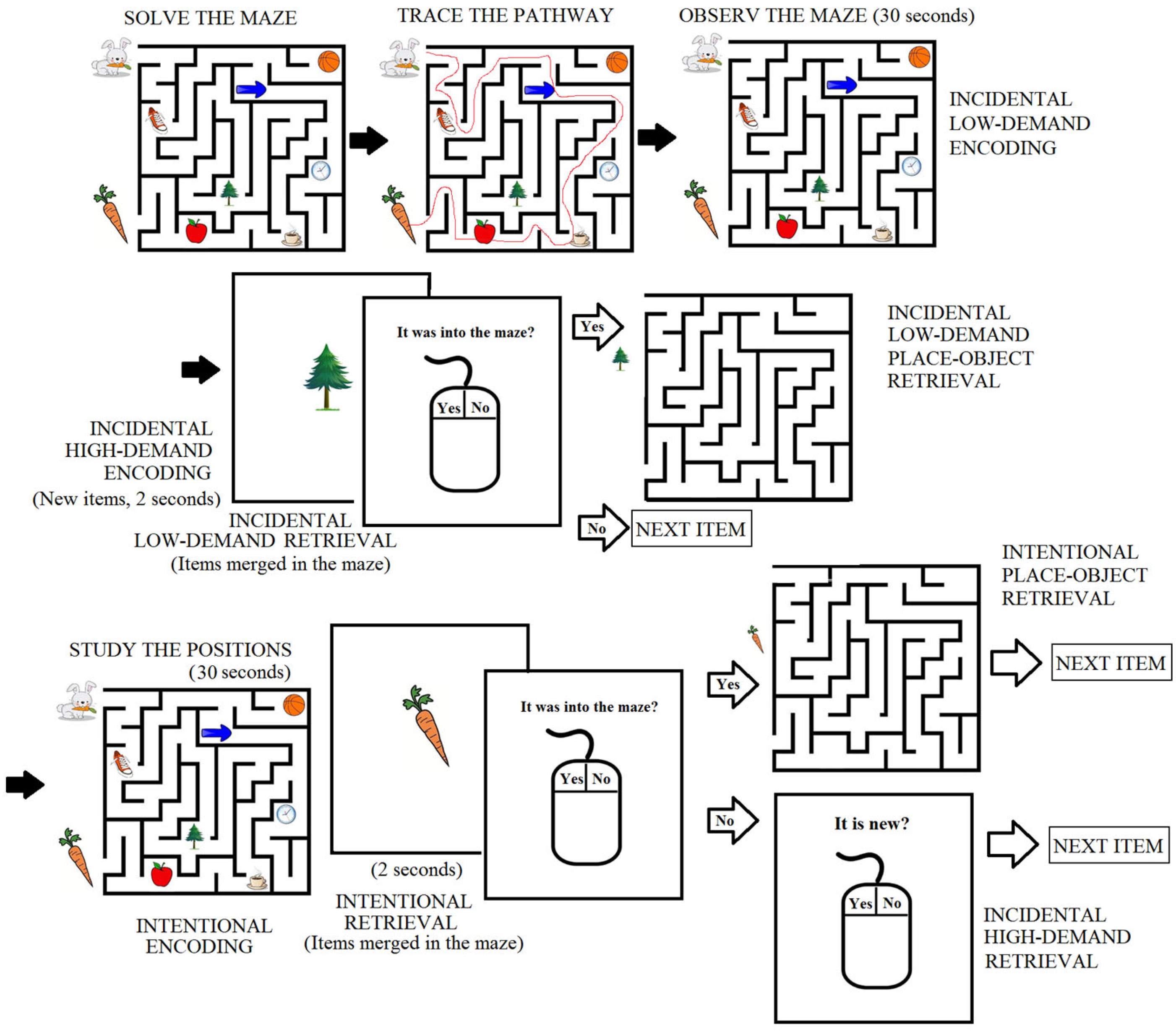 Brainsci 14 00786 g001