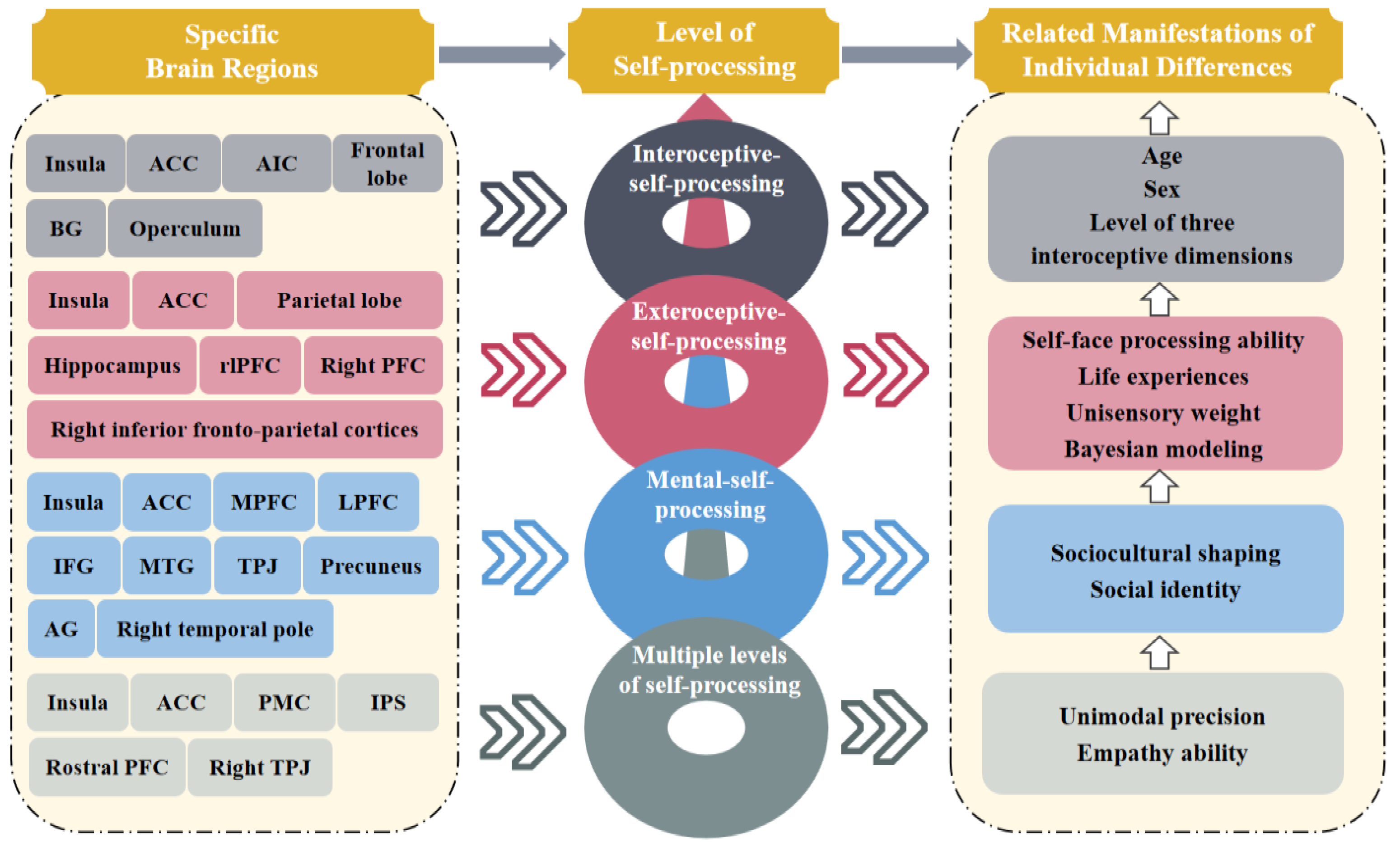 Brainsci 14 00795 g001