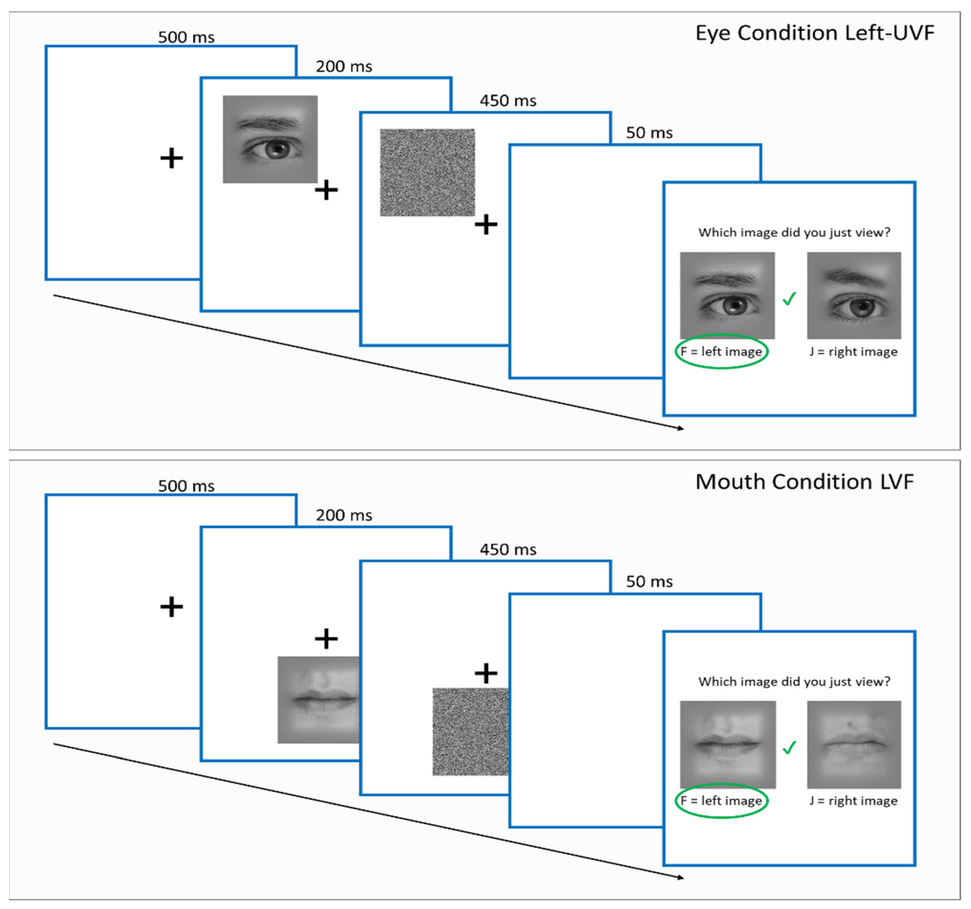 Brainsci 14 00815 g001